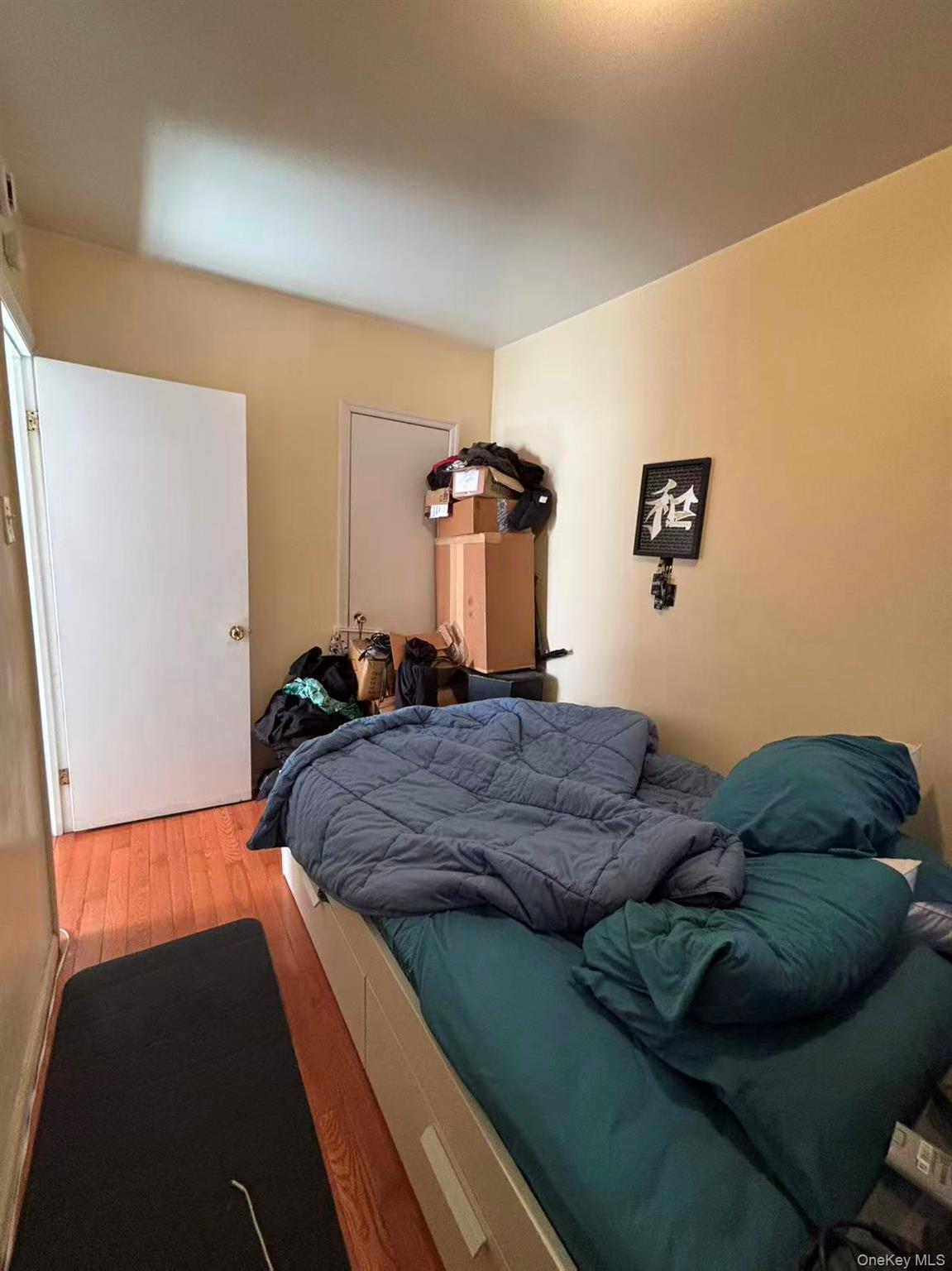 Single Family Newport Brooklyn, NY 11207, MLS-1001572-11