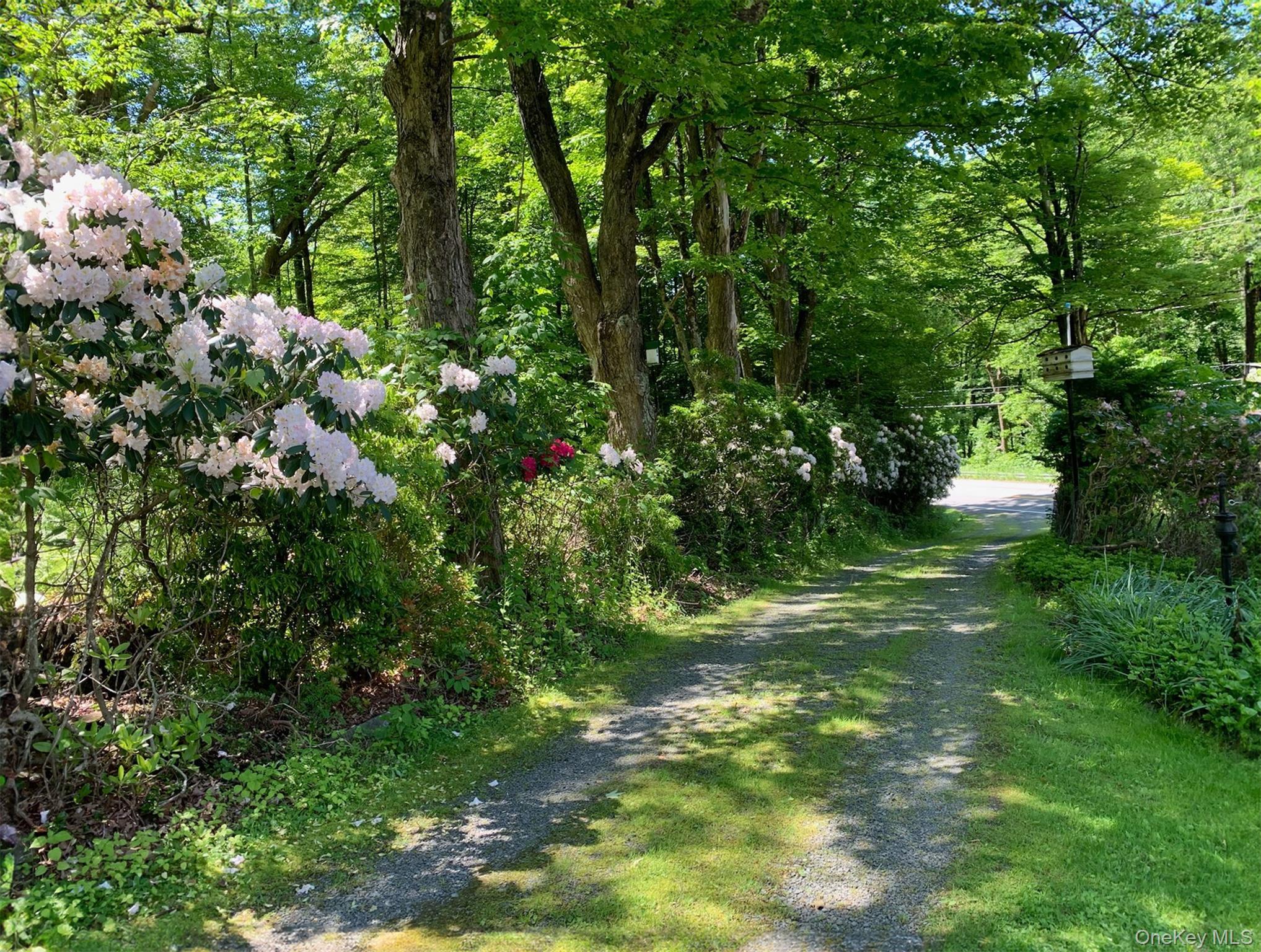Single Family County Road 17 Sullivan County, NY 12776, MLS-1001666-15