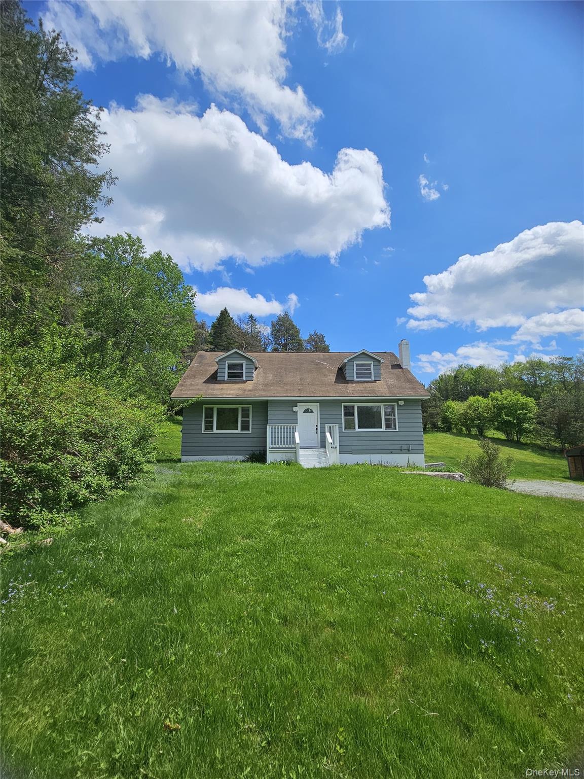 Single Family State Route 55  Sullivan County, NY 12754, MLS-1001669-11