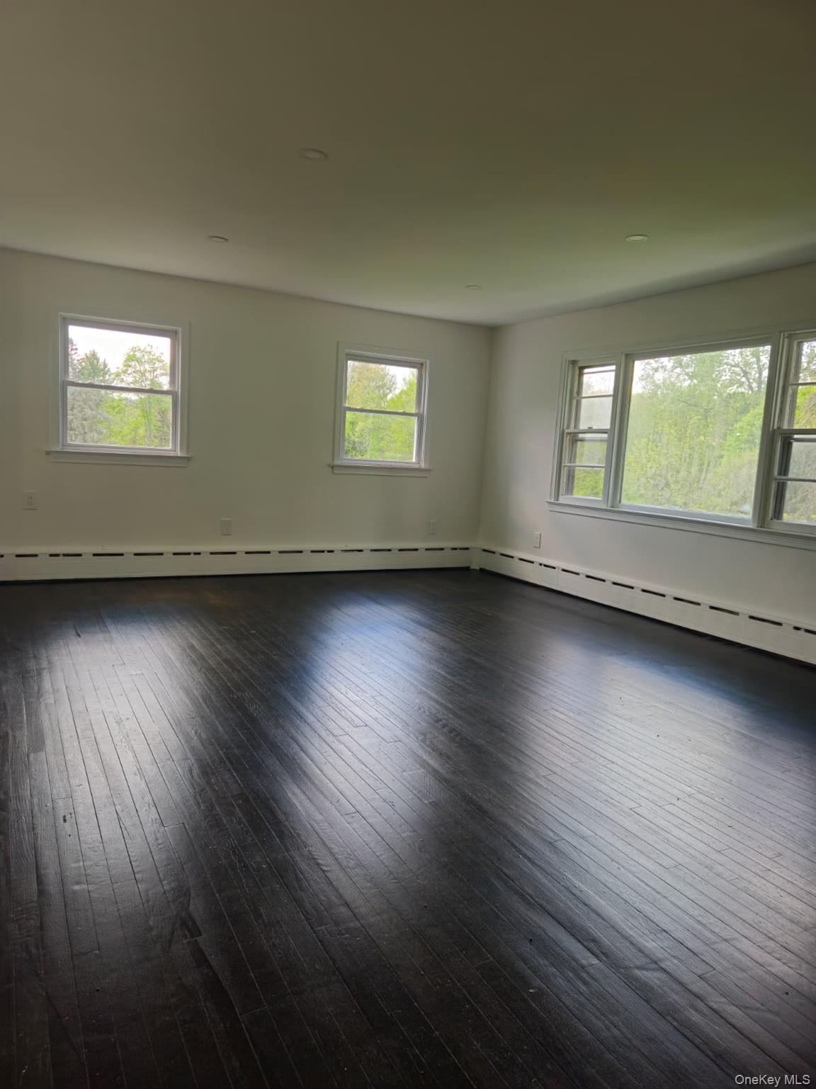 Single Family State Route 55  Sullivan County, NY 12754, MLS-1001669-12
