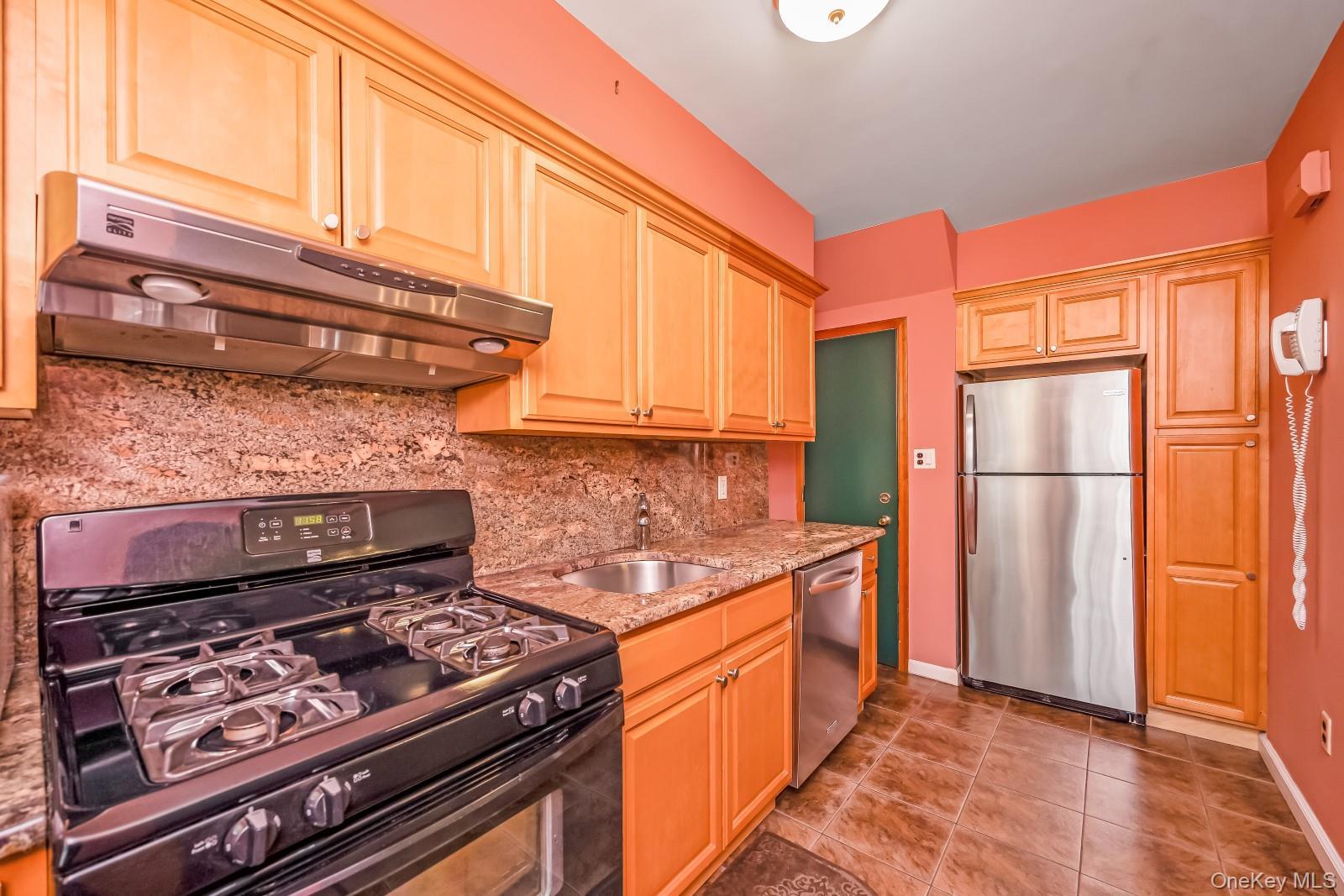 Single Family 77th Queens, NY 11379, MLS-1001688-13