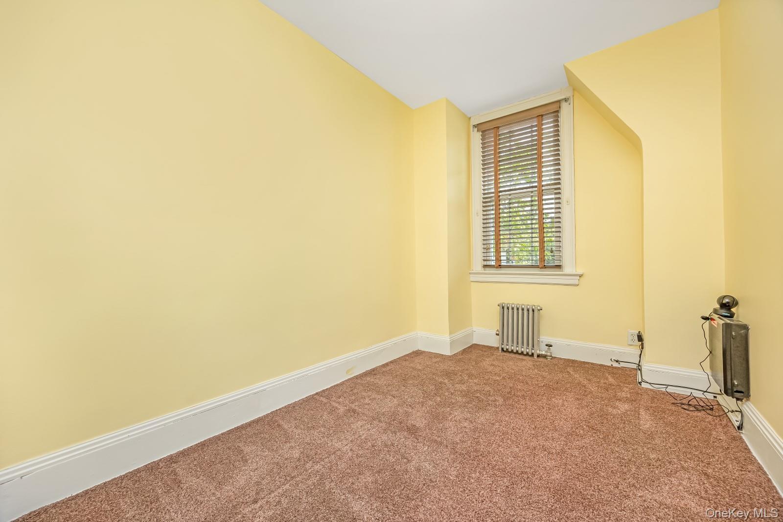 Single Family 77th Queens, NY 11379, MLS-1001688-17