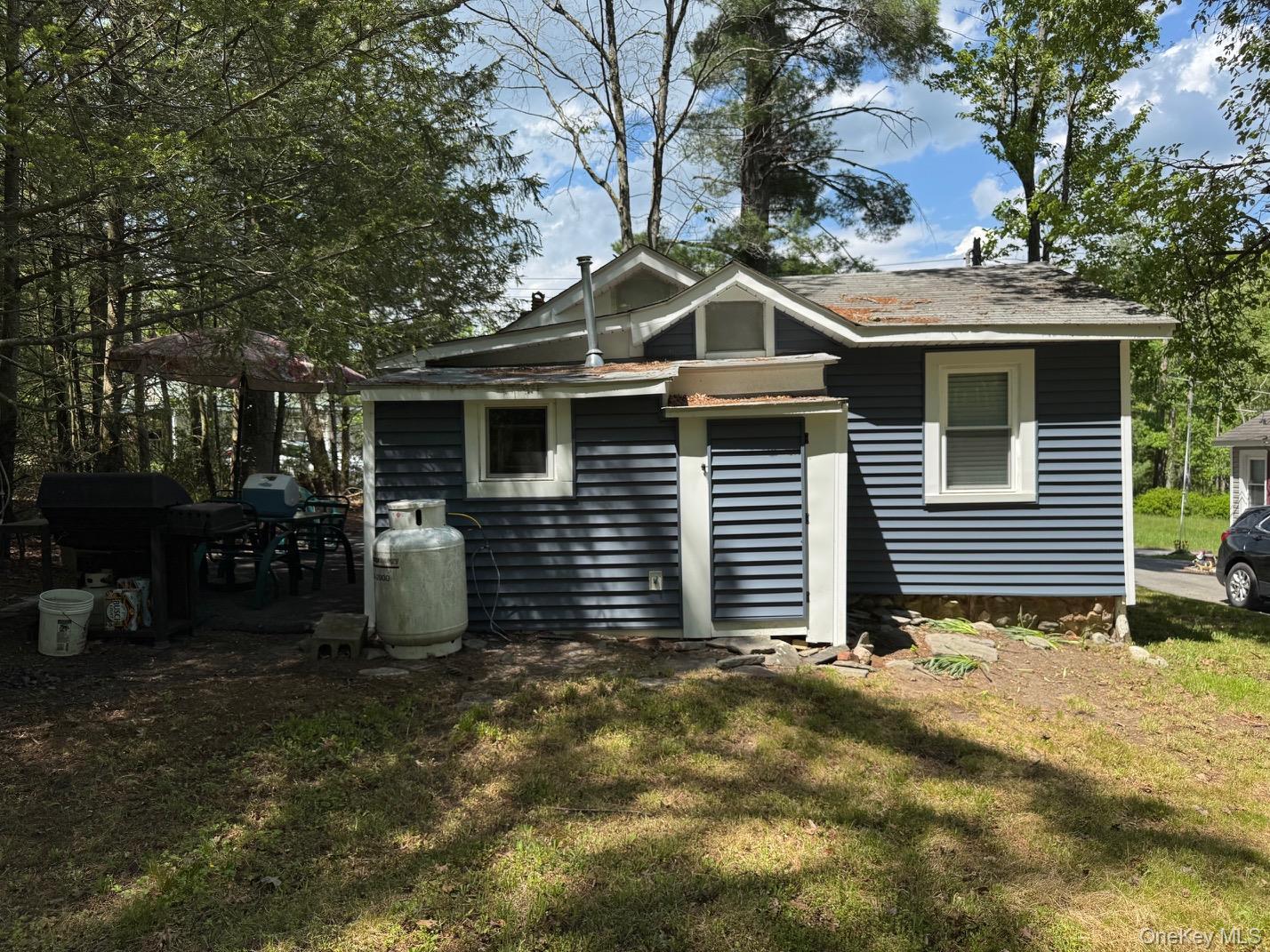 Single Family Spruce Sullivan County, NY 12790, MLS-1001776-23