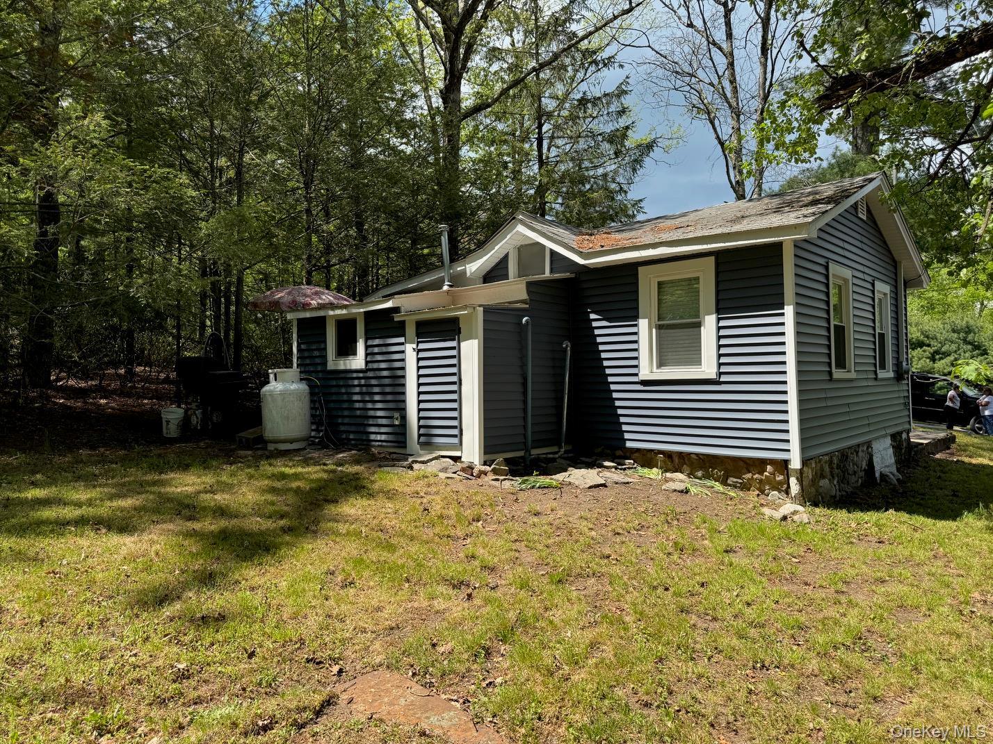 Single Family Spruce Sullivan County, NY 12790, MLS-1001776-24