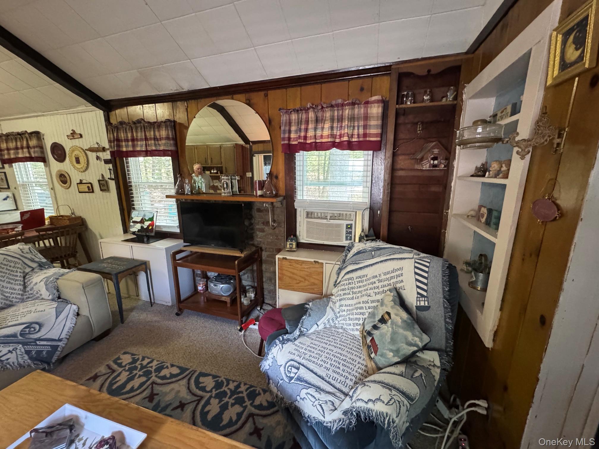 Single Family Spruce Sullivan County, NY 12790, MLS-1001776-3