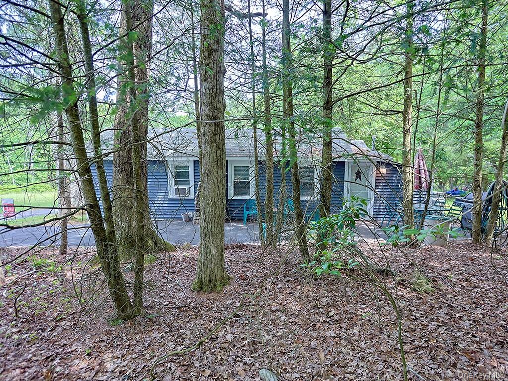 Single Family Spruce Street E  Sullivan County, NY 12790, MLS-1001776-30