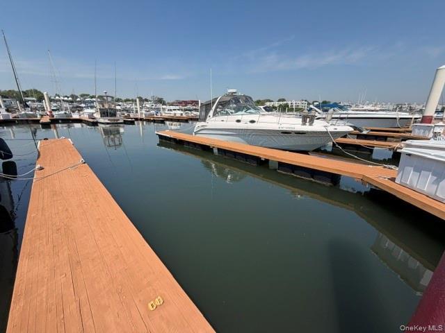 Coop City Island  Bronx, NY 10464, MLS-1001815-5