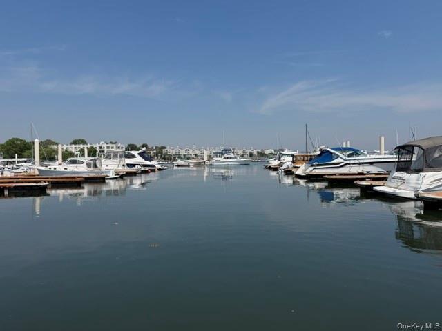 Coop City Island  Bronx, NY 10464, MLS-1001815-9