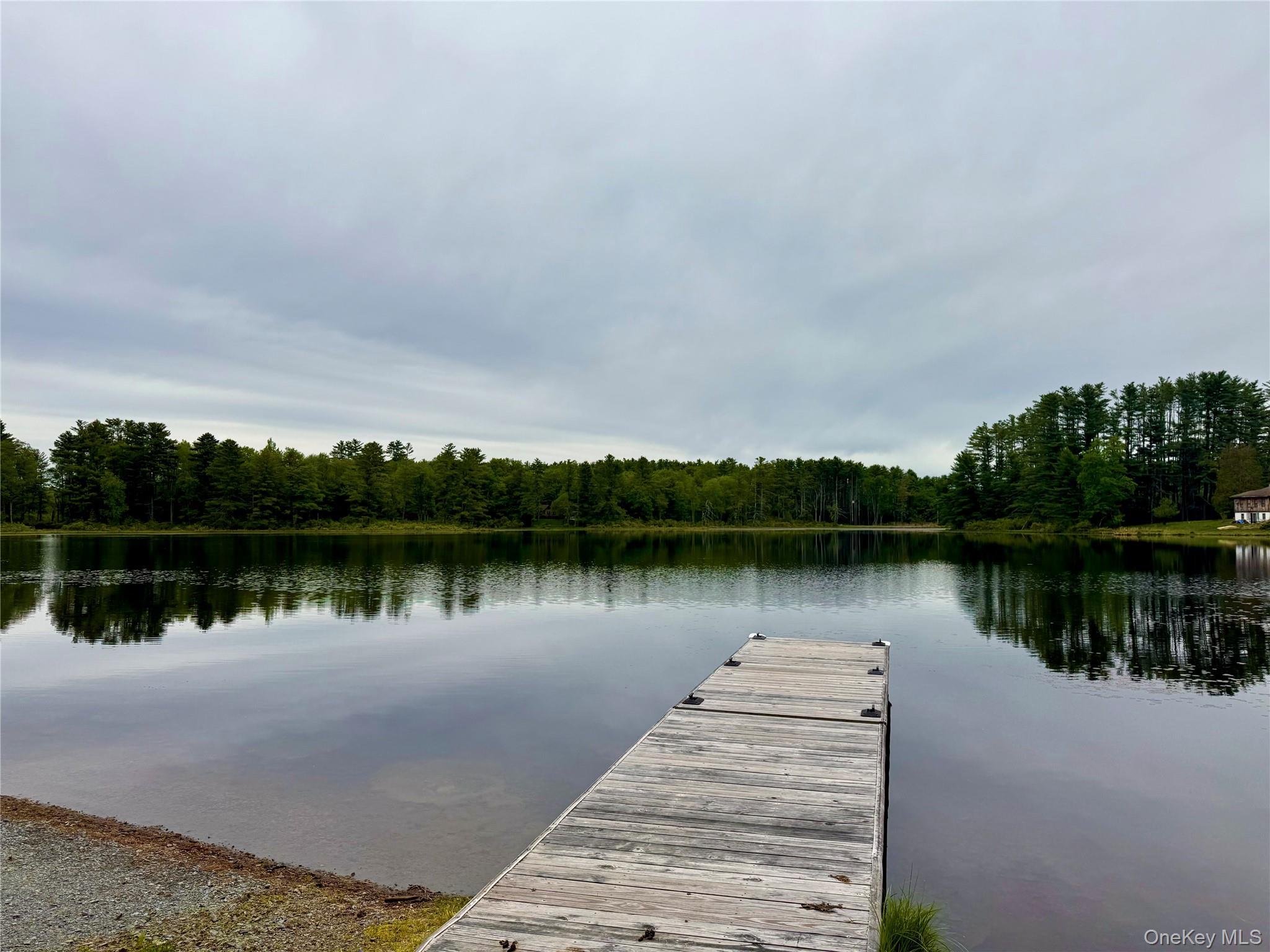 Single Family Wildwood Way  Sullivan County, NY 12777, MLS-1001847-37