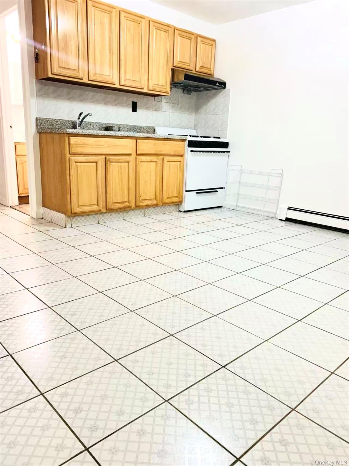 Single Family 128th Street  Queens, NY 11356, MLS-1001872-13
