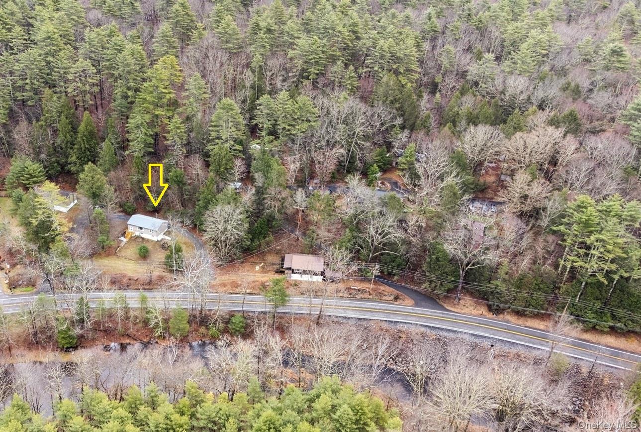 Single Family State Route 55  Ulster County, NY 12458, MLS-1001873-31