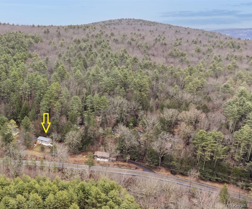 Single Family State Route 55  Ulster County, NY 12458, MLS-1001873-32