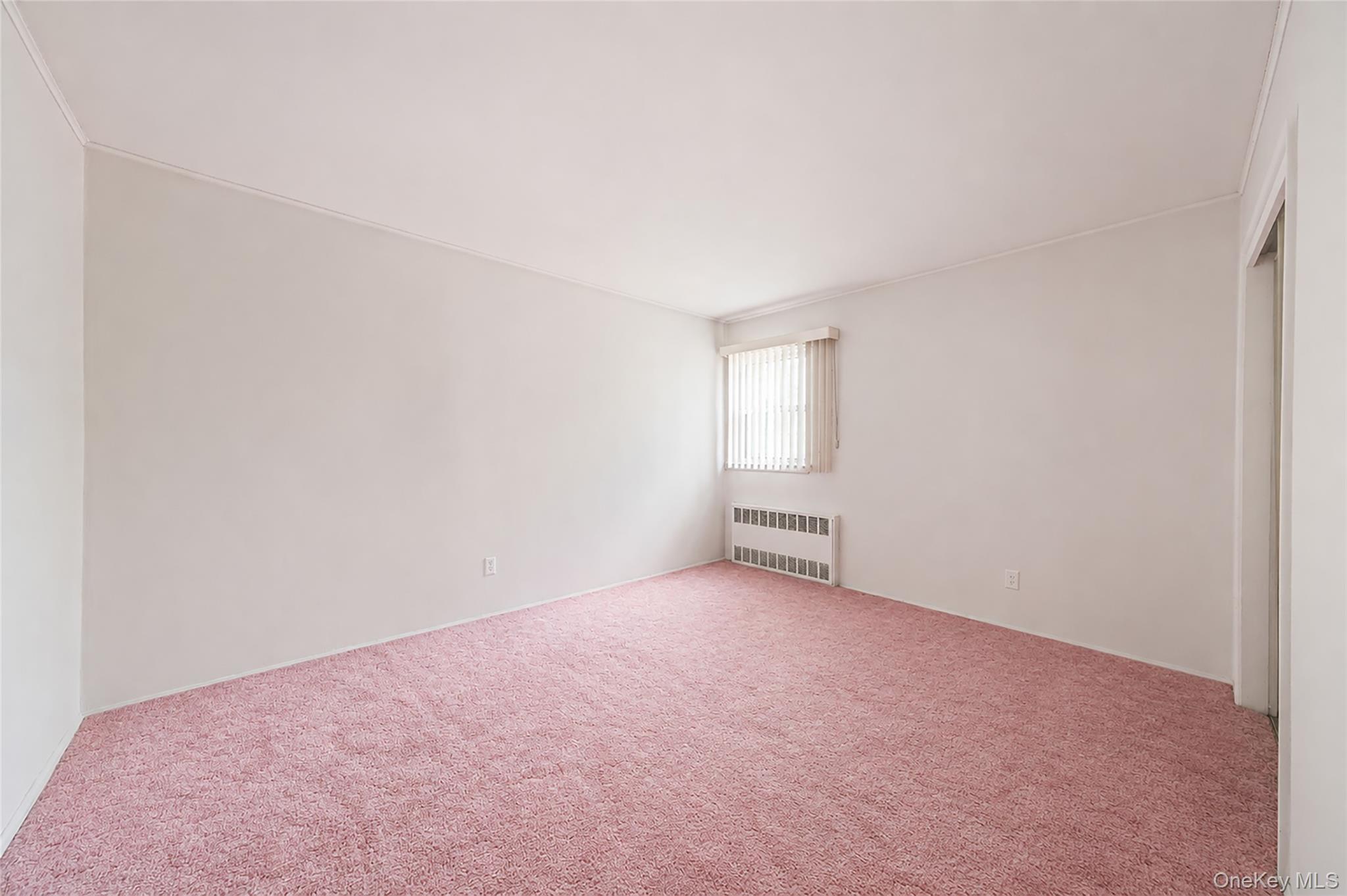 Single Family Maybrook Road  Suffolk County, NY 11703, MLS-1001881-13