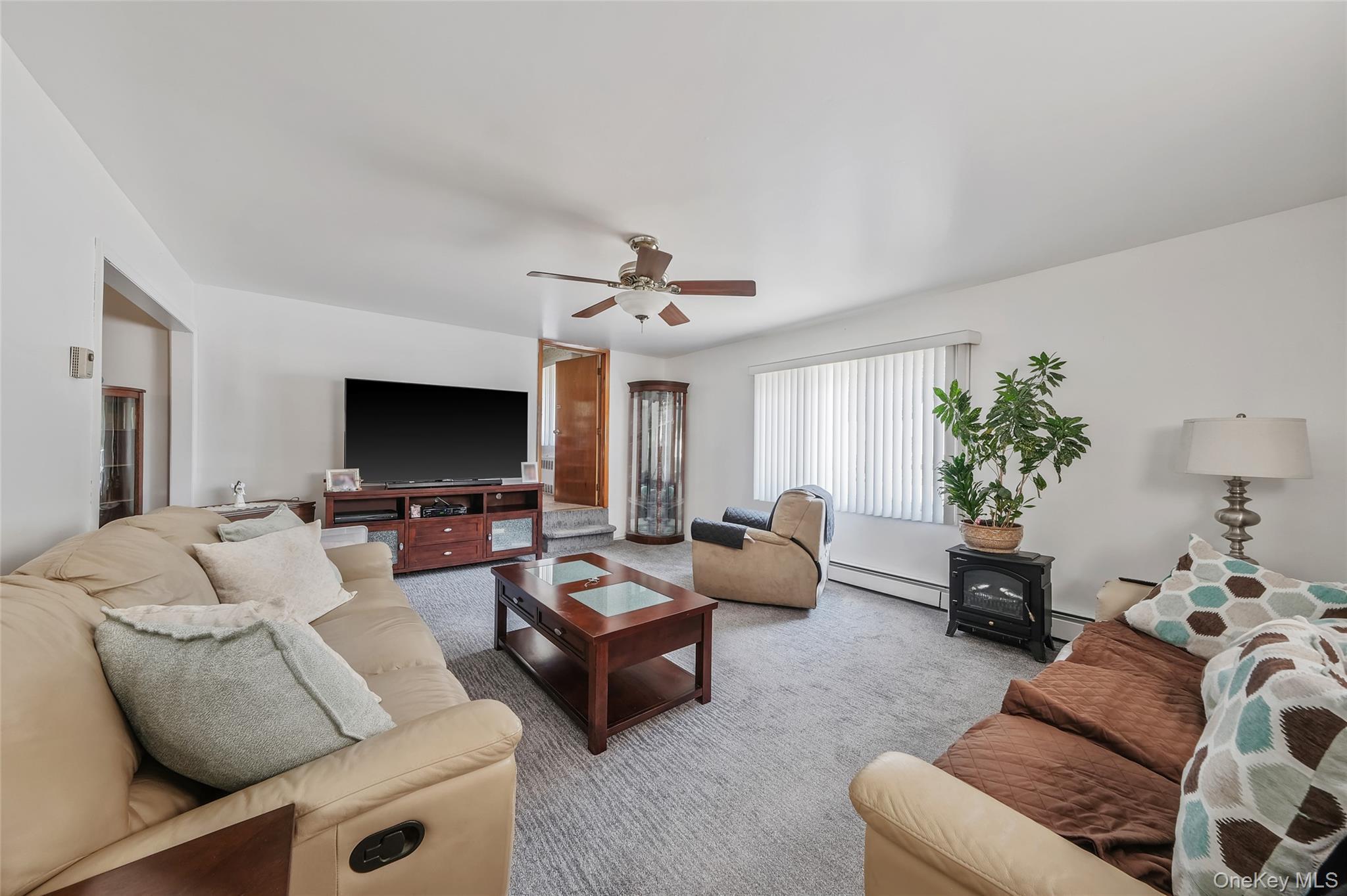 Single Family Maybrook Road  Suffolk County, NY 11703, MLS-1001881-24