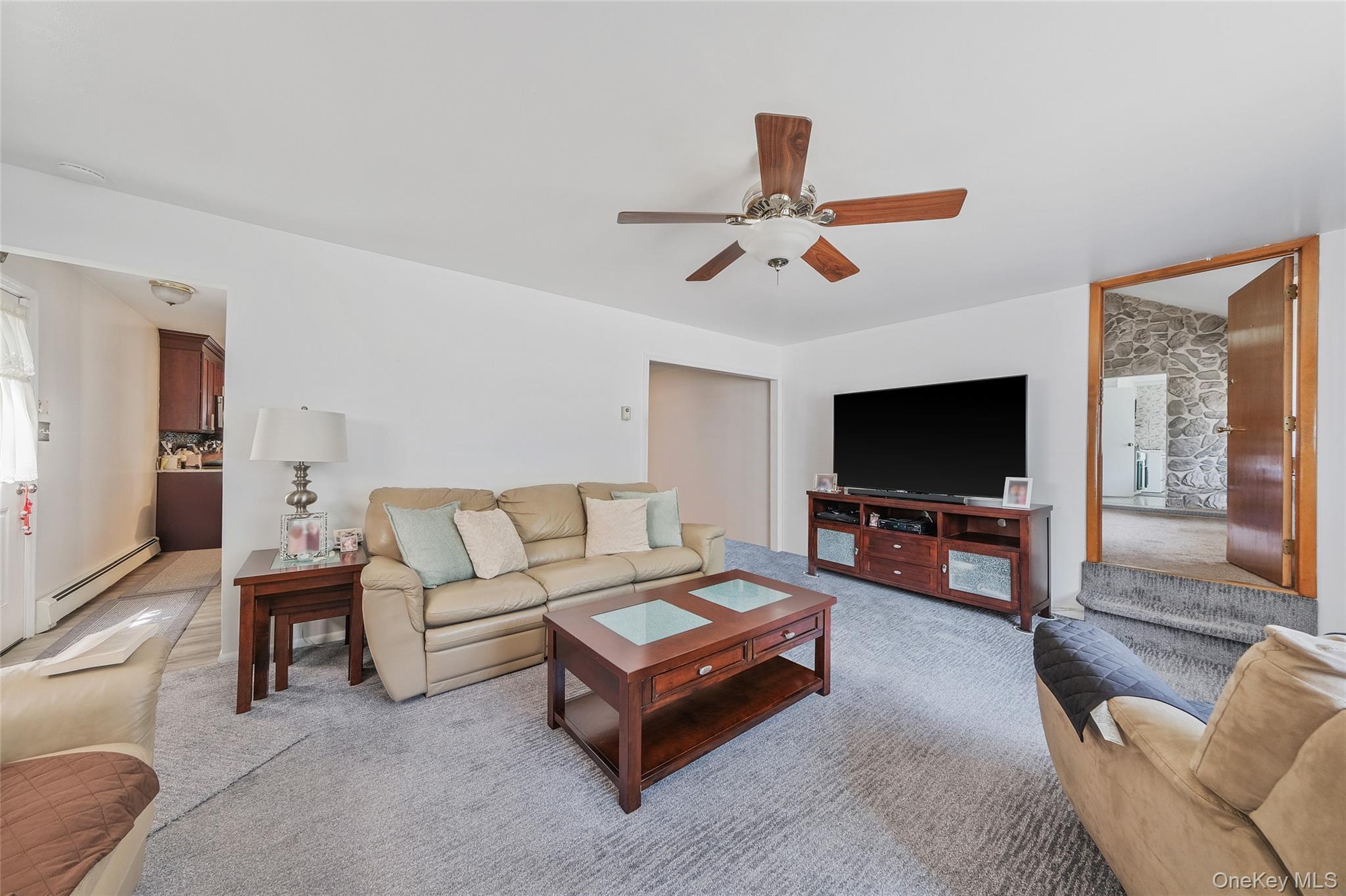 Single Family Maybrook Road  Suffolk County, NY 11703, MLS-1001881-25