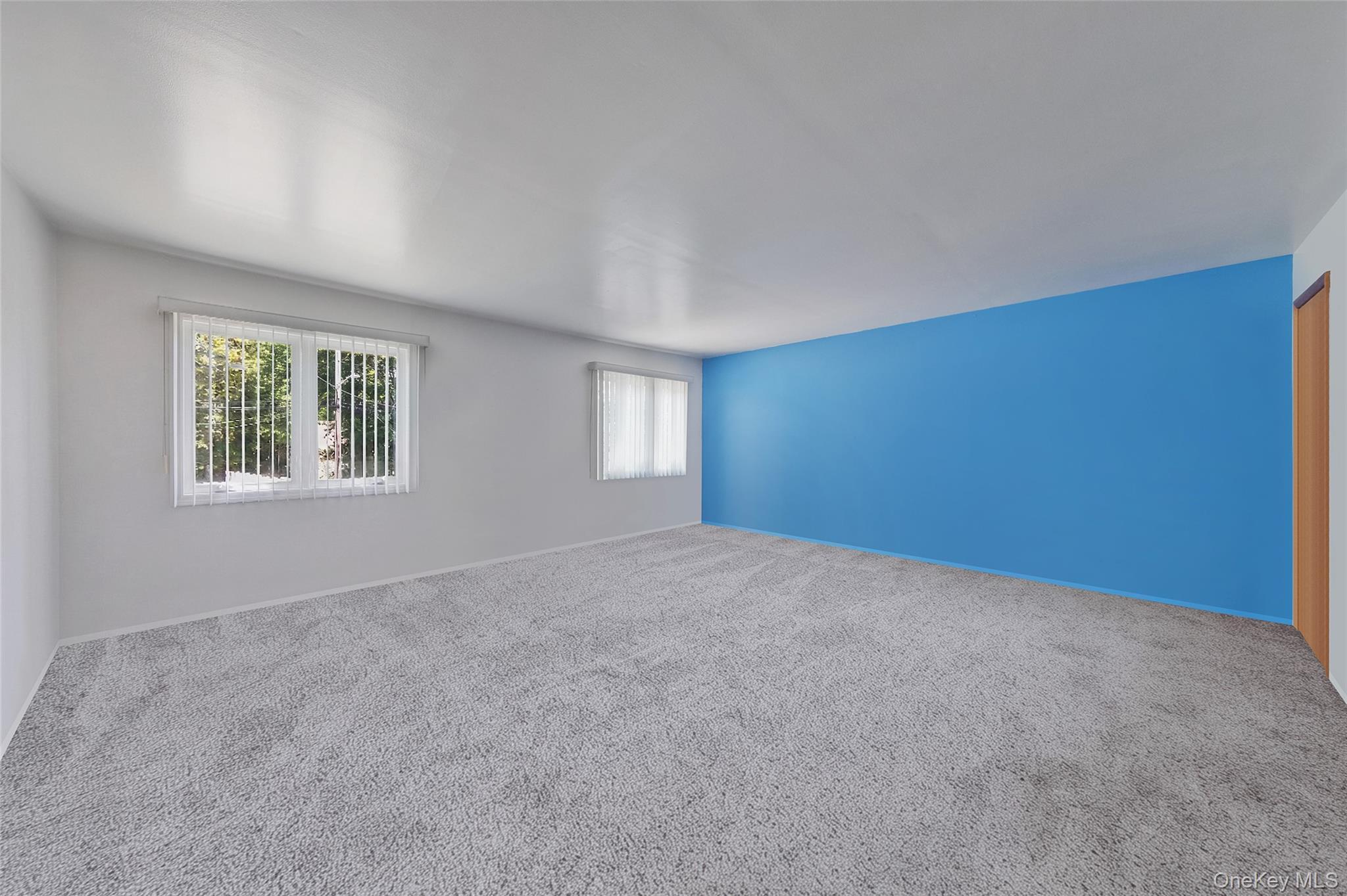 Single Family Maybrook Road  Suffolk County, NY 11703, MLS-1001881-31
