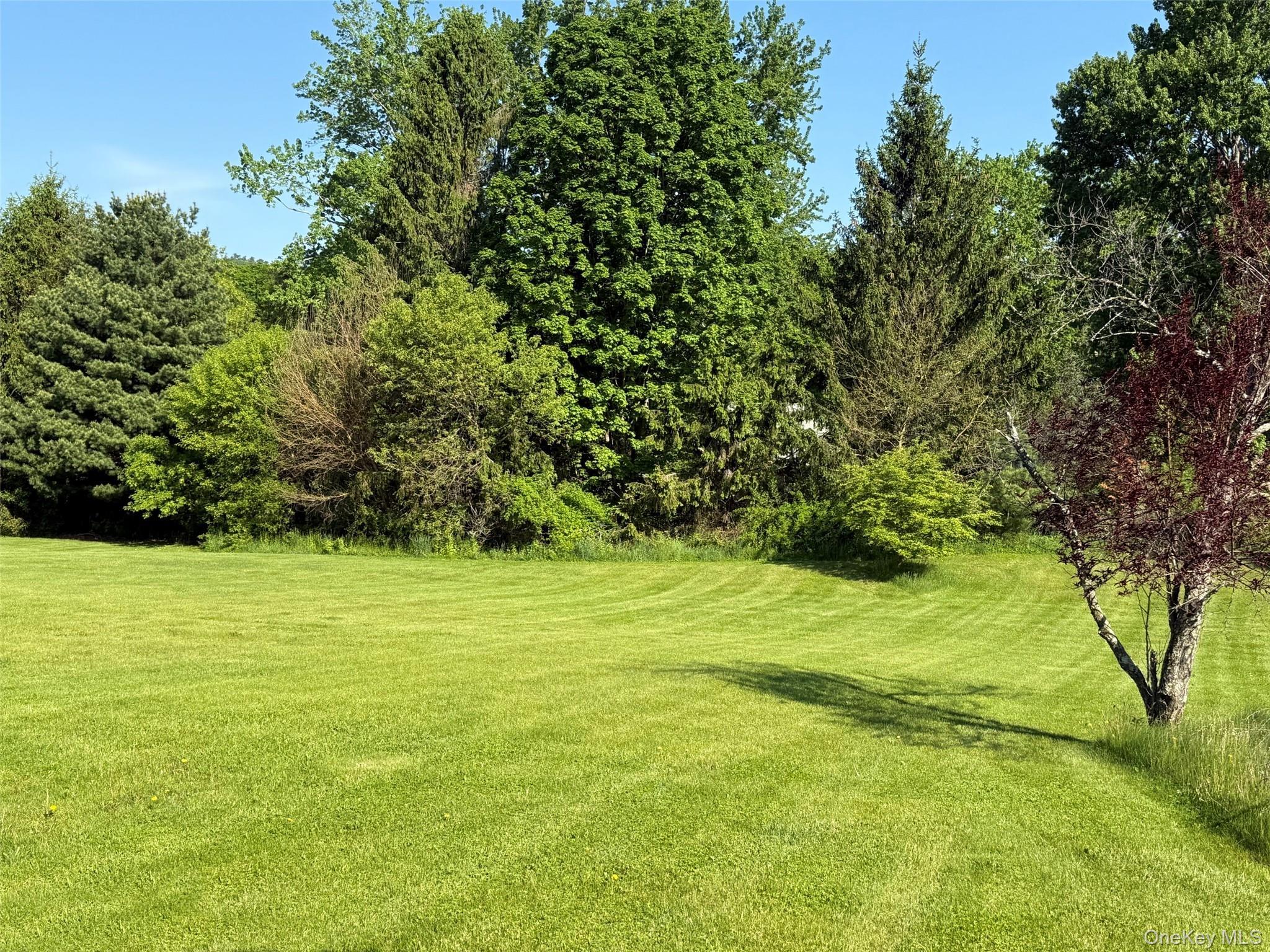 Single Family Ohandley Drive Dutchess County, NY 12501, MLS-1001908-20