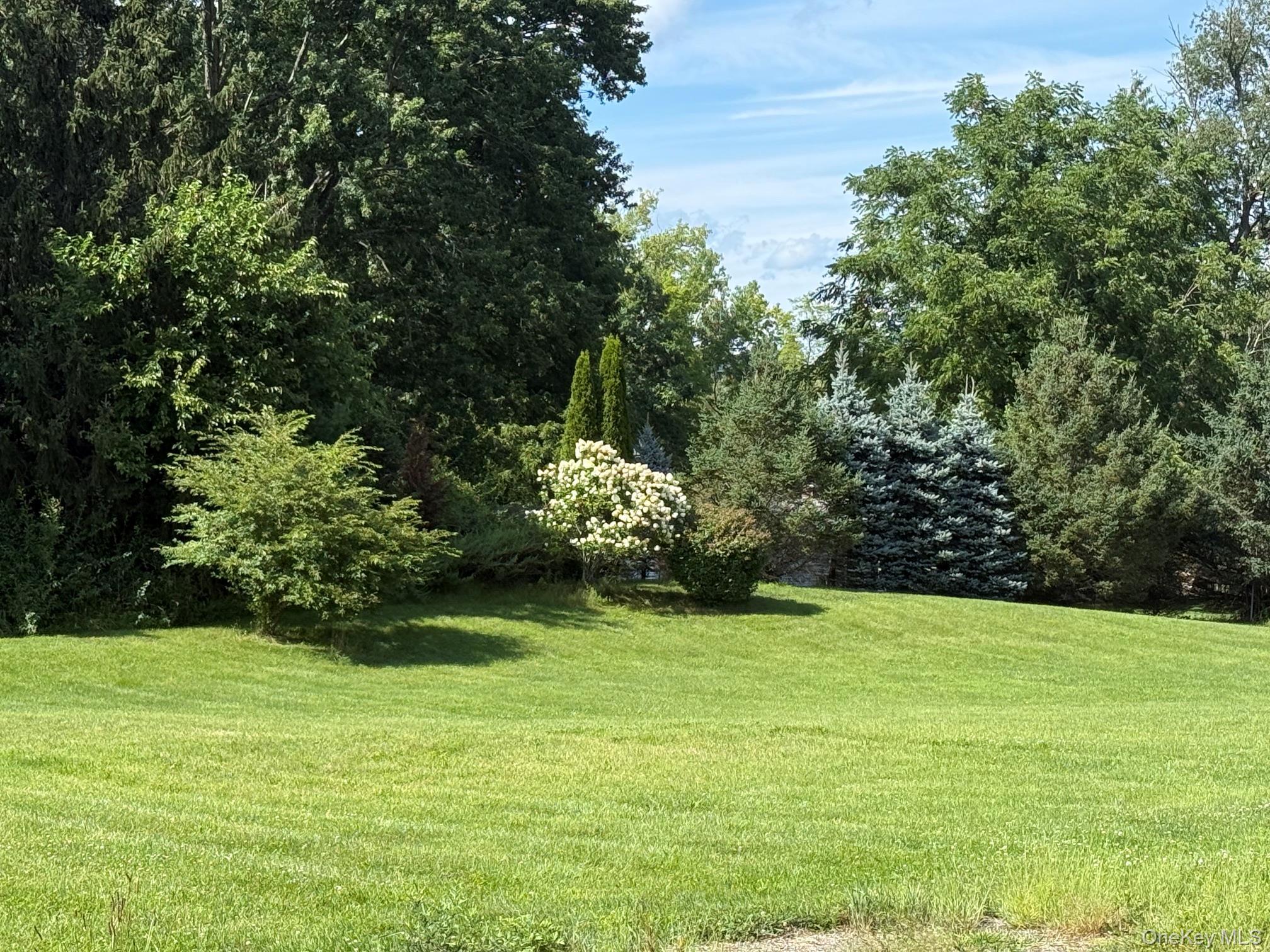 Single Family Ohandley Drive Dutchess County, NY 12501, MLS-1001908-21