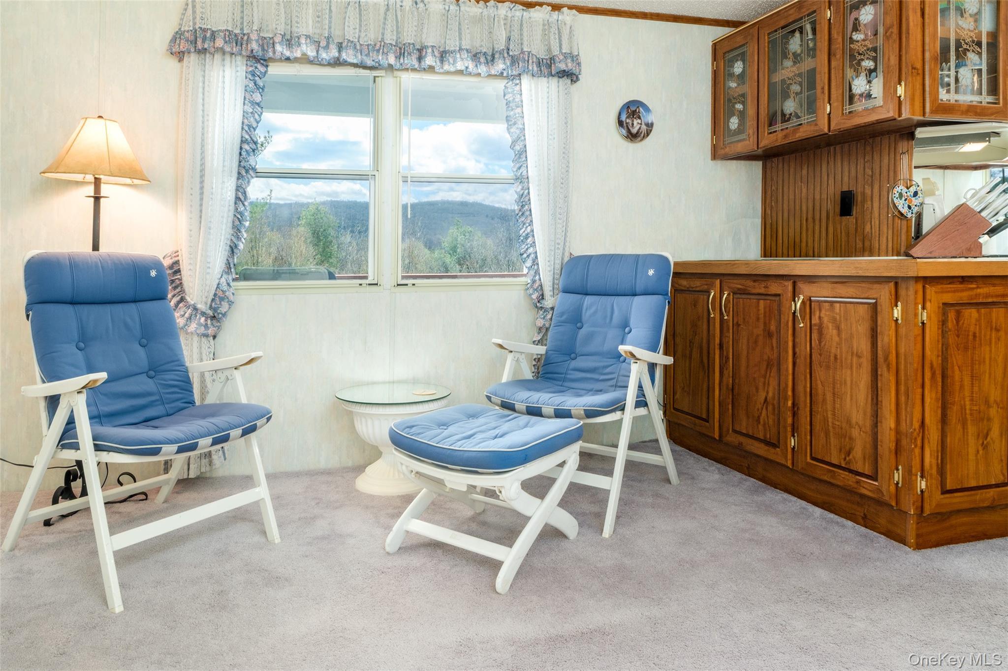 Single Family Betty Brook  Delaware County, NY 13842, MLS-1001909-12