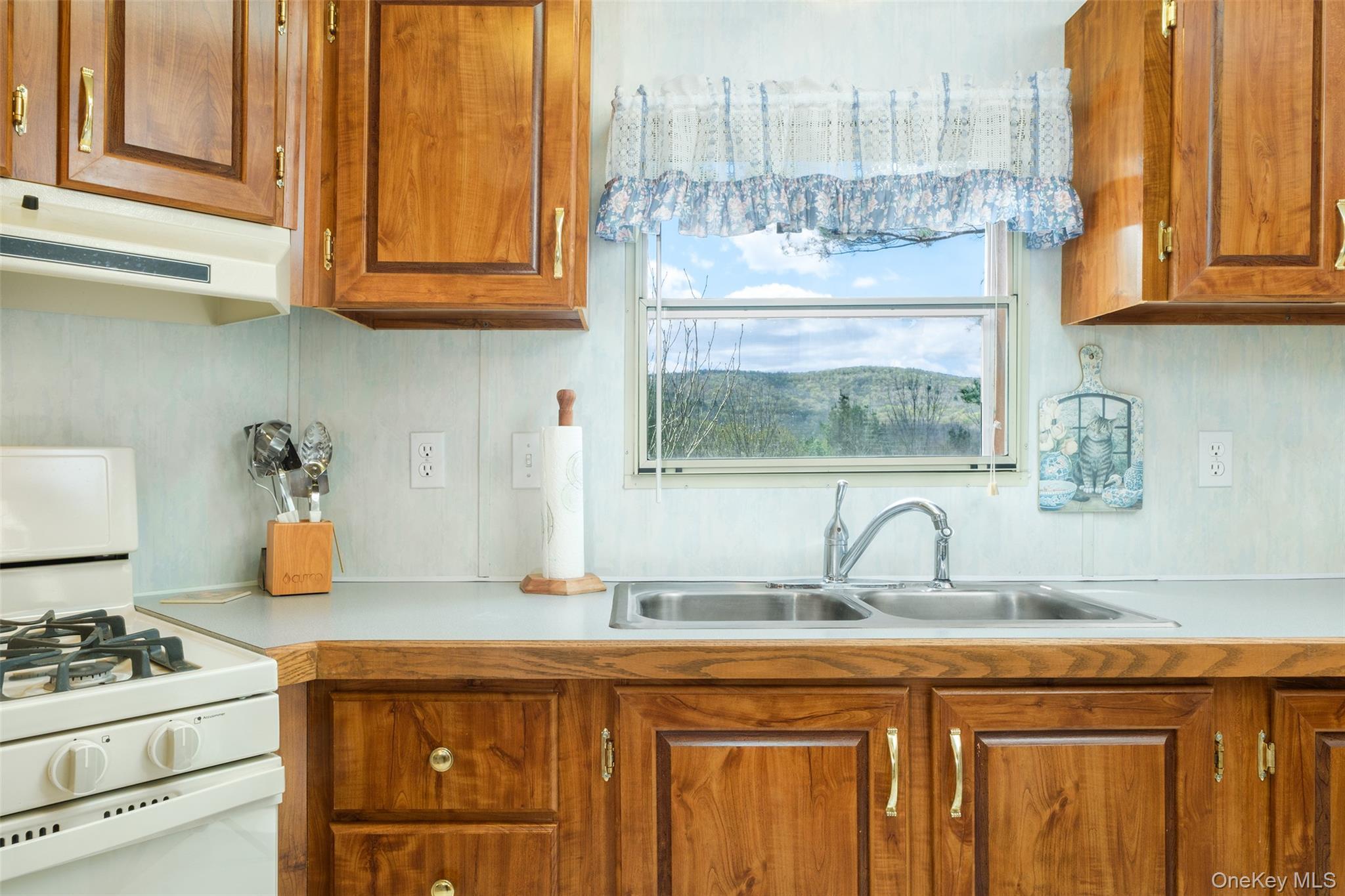 Single Family Betty Brook  Delaware County, NY 13842, MLS-1001909-17
