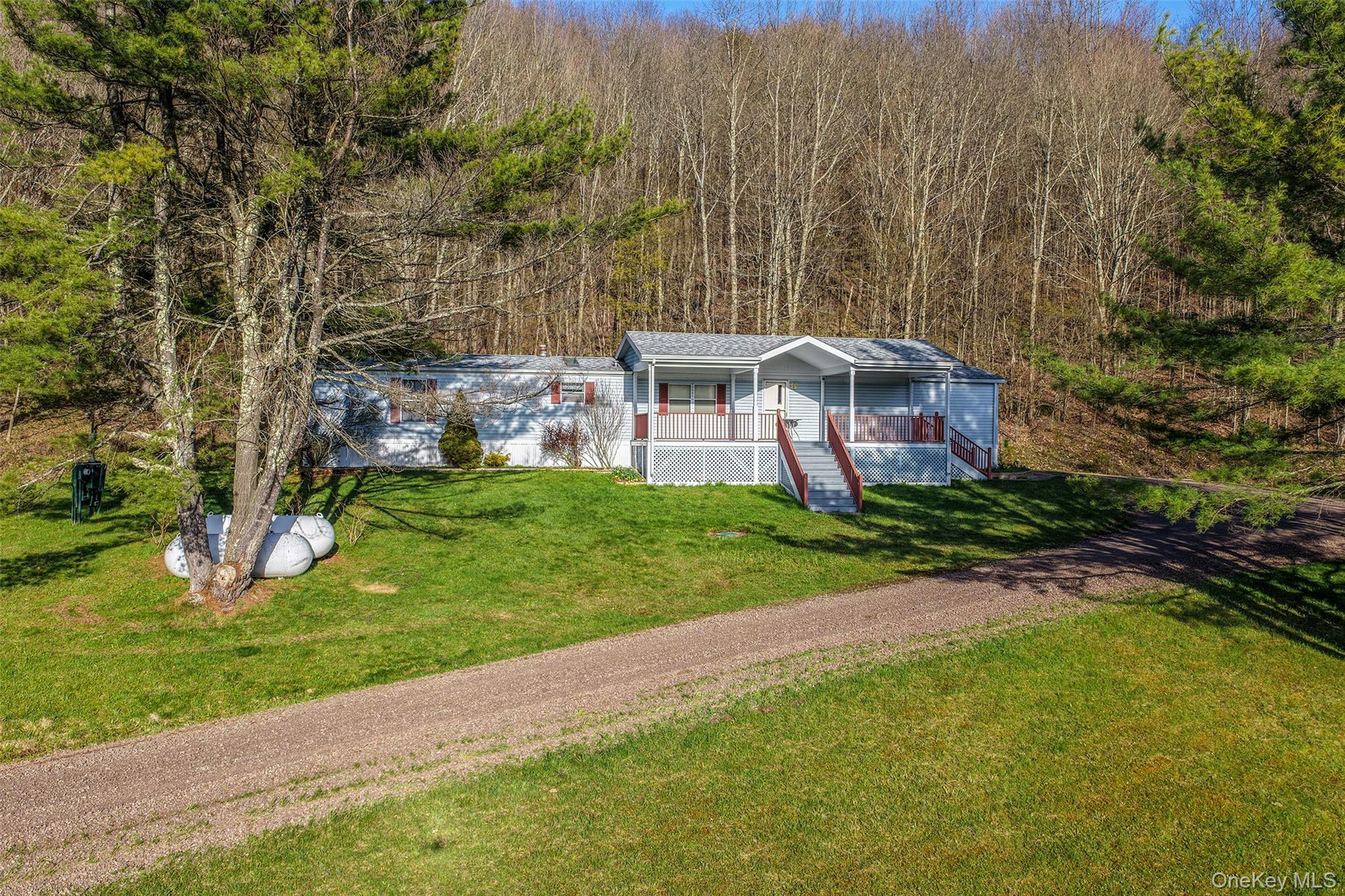 Single Family Betty Brook  Delaware County, NY 13842, MLS-1001909-2
