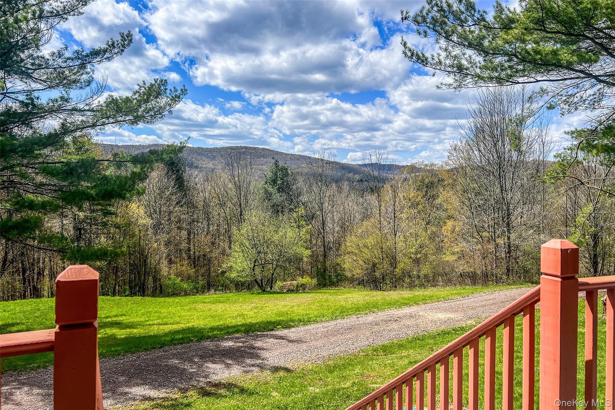 Single Family Betty Brook  Delaware County, NY 13842, MLS-1001909-31