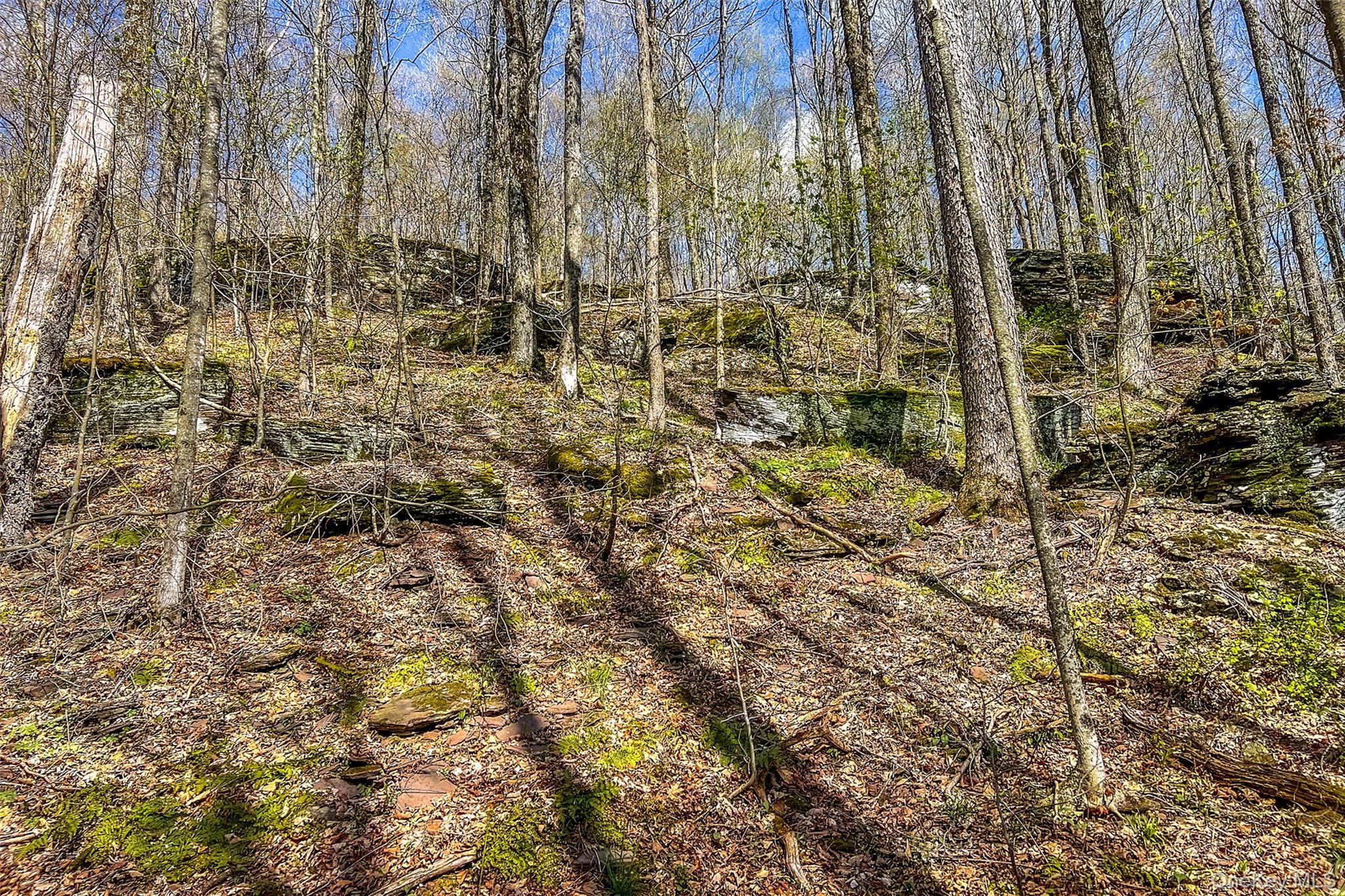Single Family Betty Brook  Delaware County, NY 13842, MLS-1001909-43