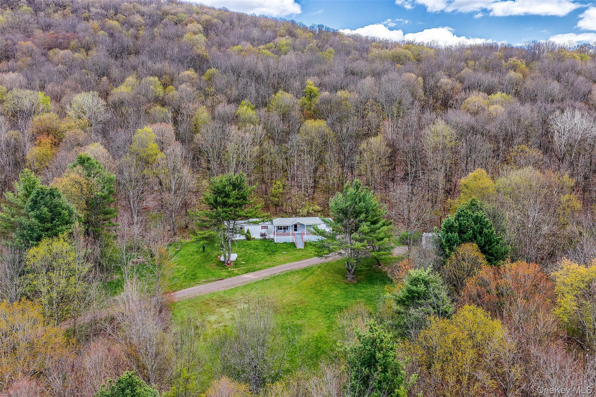 Single Family Betty Brook  Delaware County, NY 13842, MLS-1001909-48