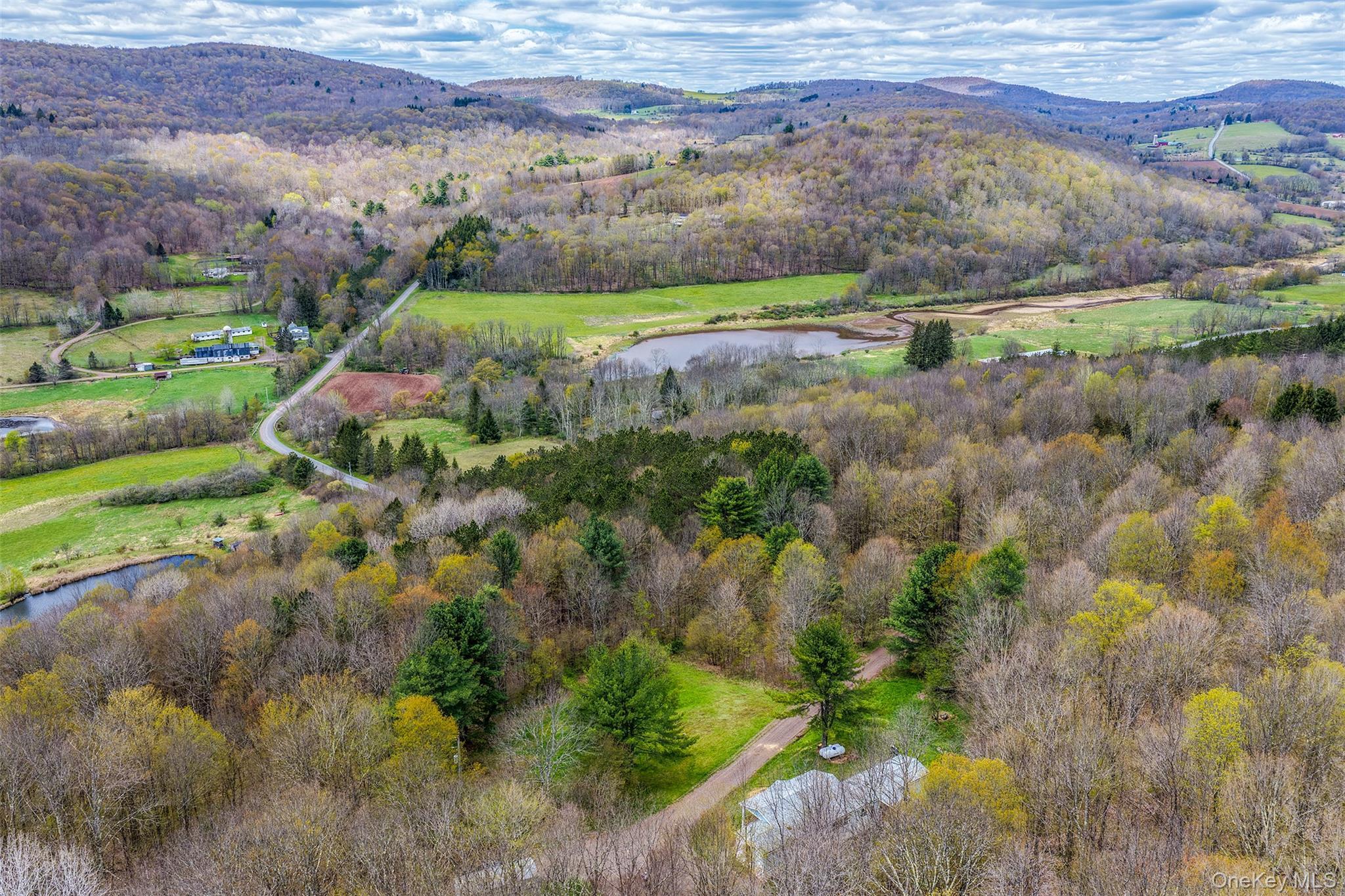 Single Family Betty Brook  Delaware County, NY 13842, MLS-1001909-49