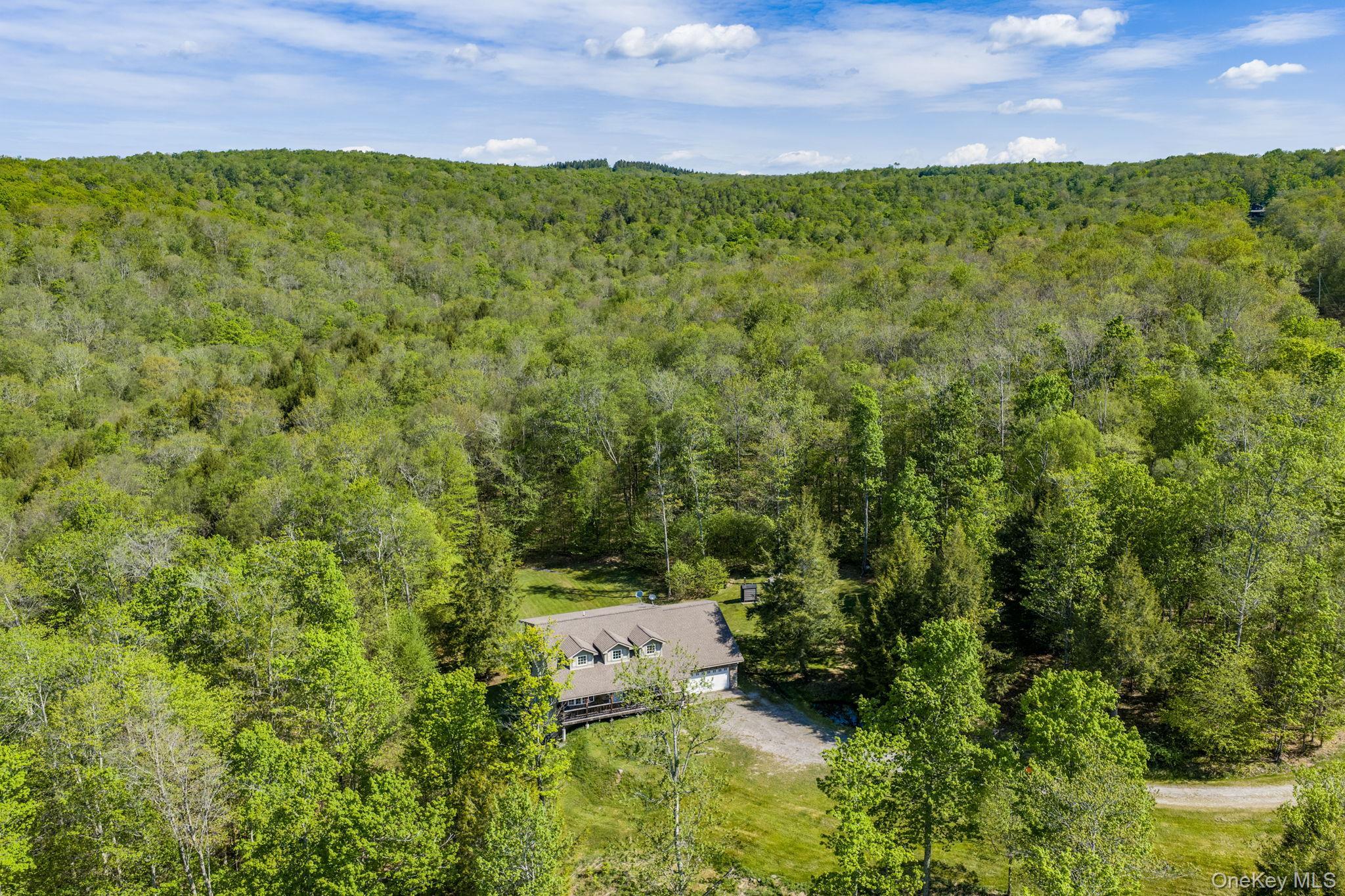 Single Family Turkey Hollow Lane  Sullivan County, NY 12758, MLS-1002065-3