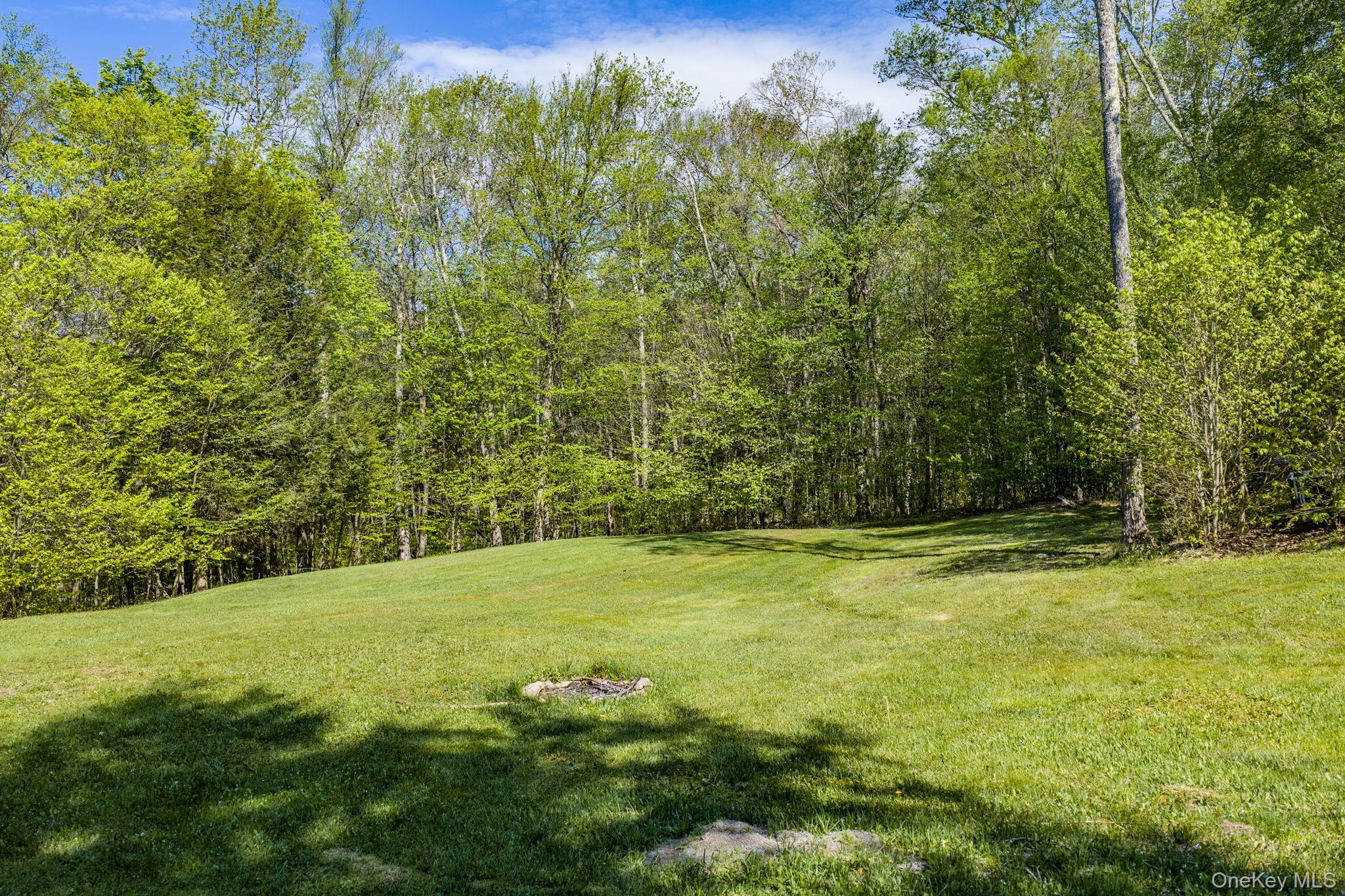 Single Family Turkey Hollow Lane  Sullivan County, NY 12758, MLS-1002065-39