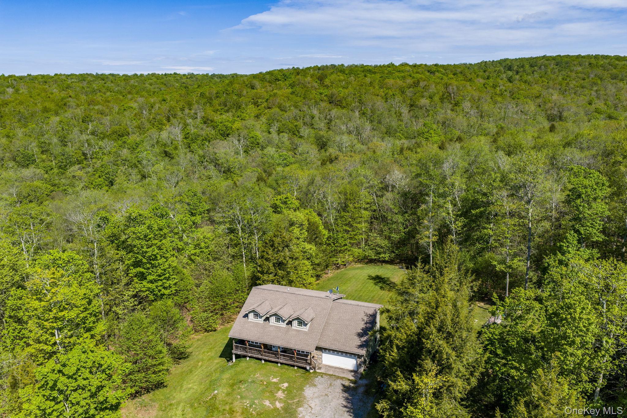 Single Family Turkey Hollow Lane  Sullivan County, NY 12758, MLS-1002065-4