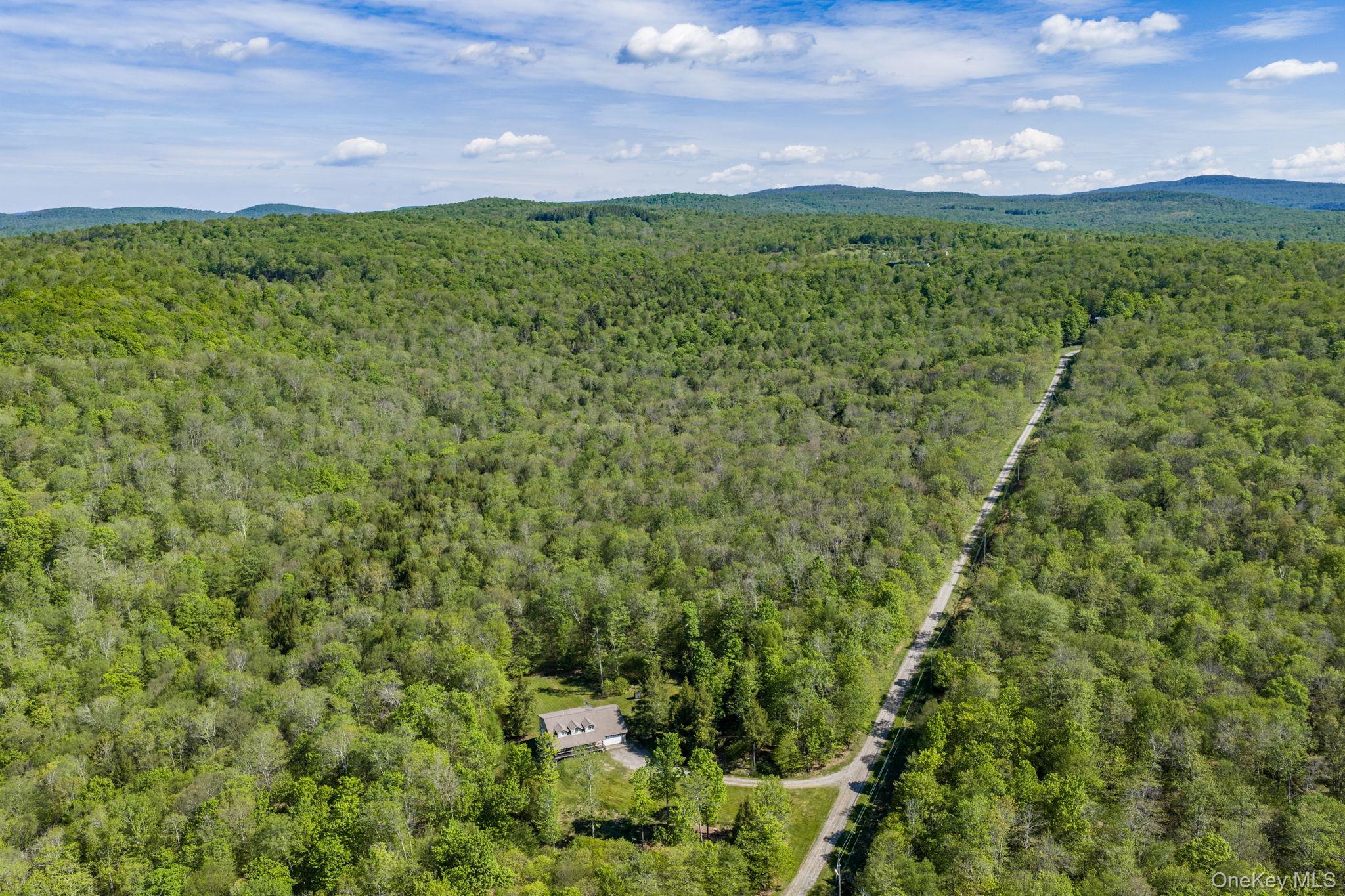 Single Family Turkey Hollow Lane  Sullivan County, NY 12758, MLS-1002065-40
