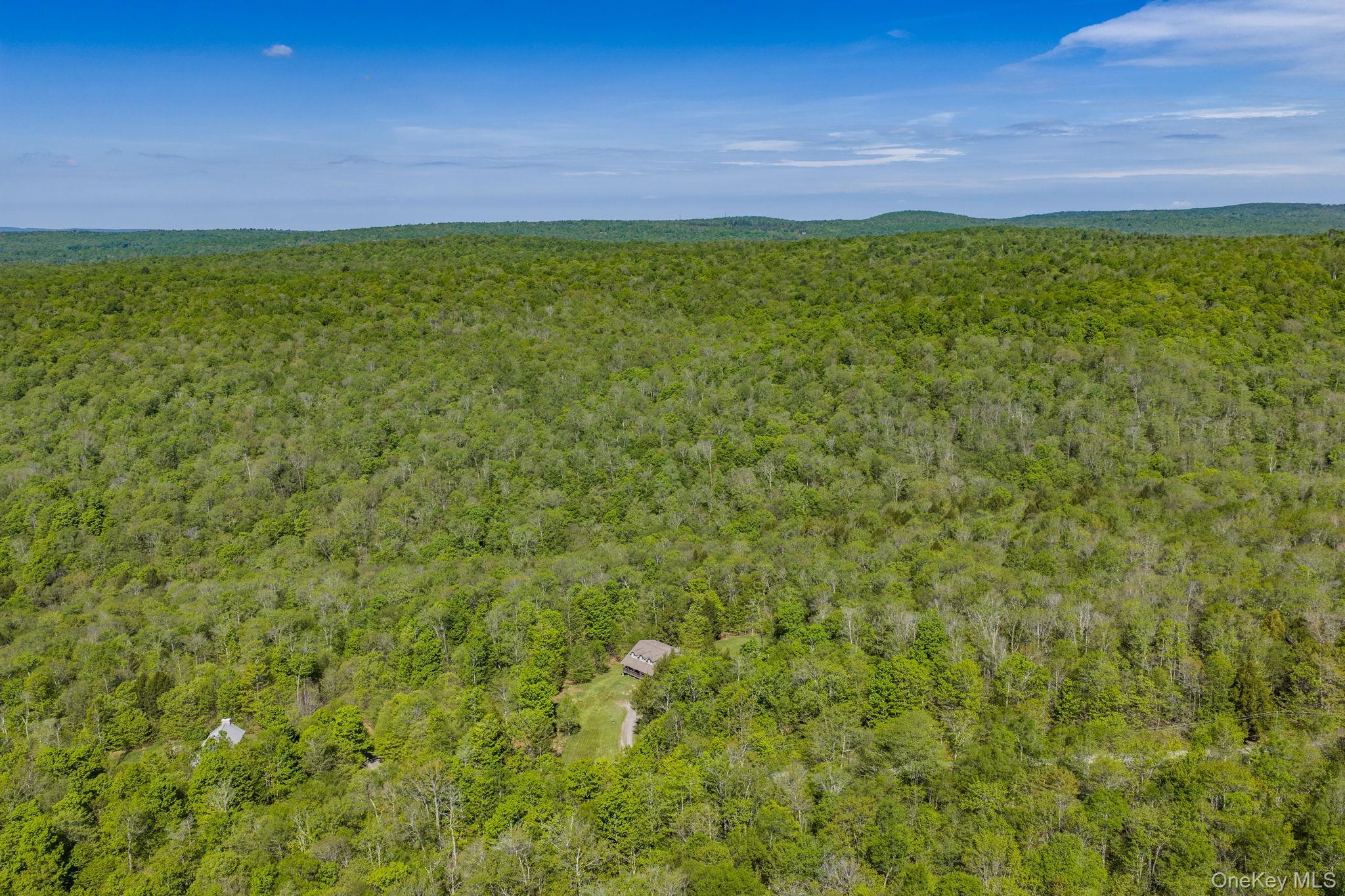 Single Family Turkey Hollow Lane  Sullivan County, NY 12758, MLS-1002065-41