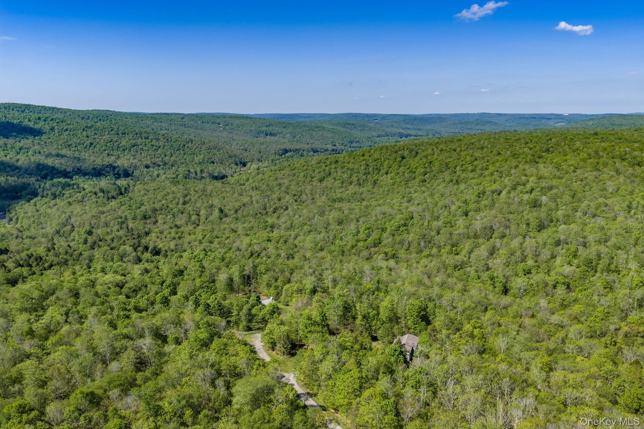 Single Family Turkey Hollow Lane  Sullivan County, NY 12758, MLS-1002065-42