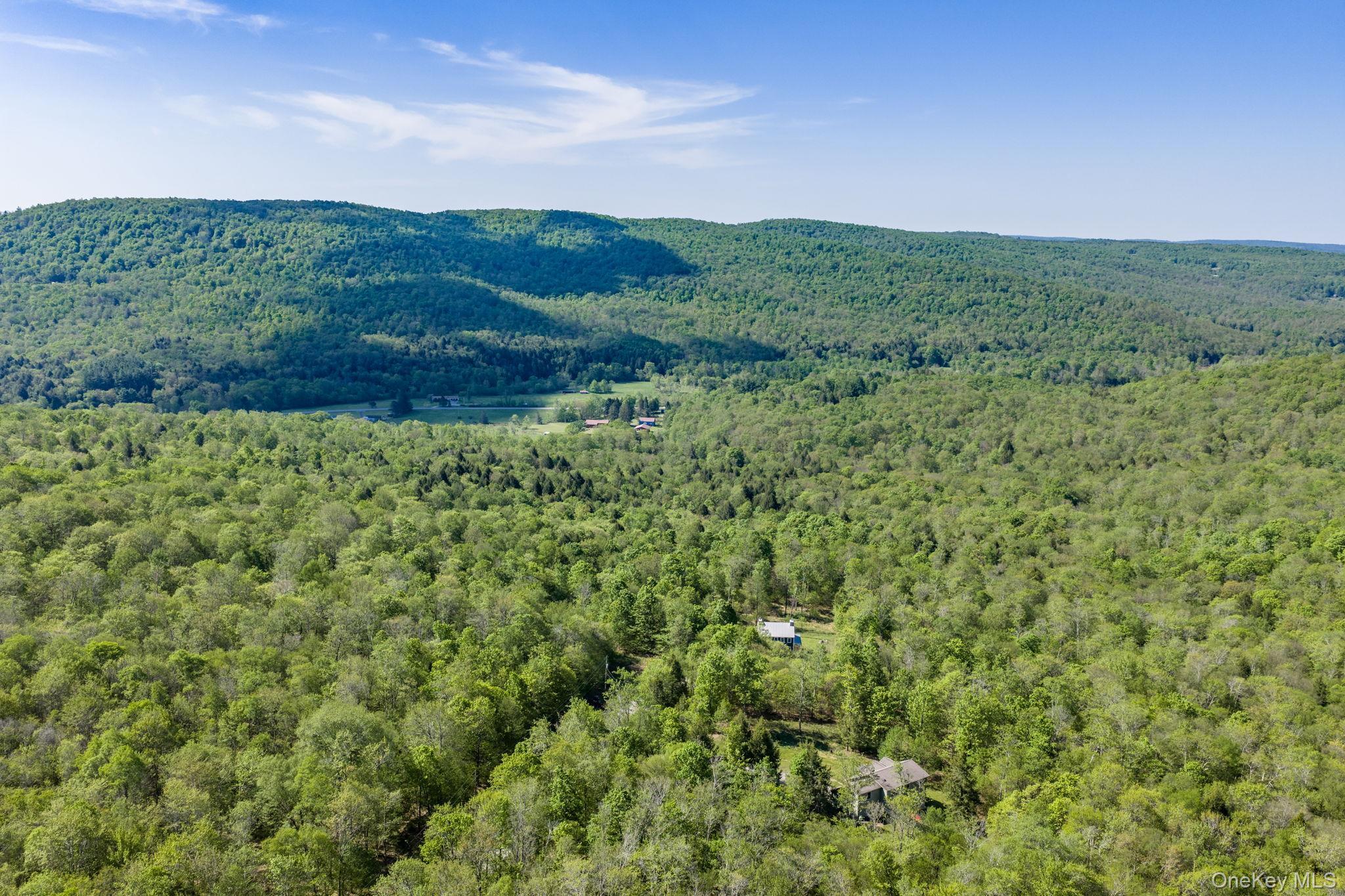 Single Family Turkey Hollow Lane  Sullivan County, NY 12758, MLS-1002065-43