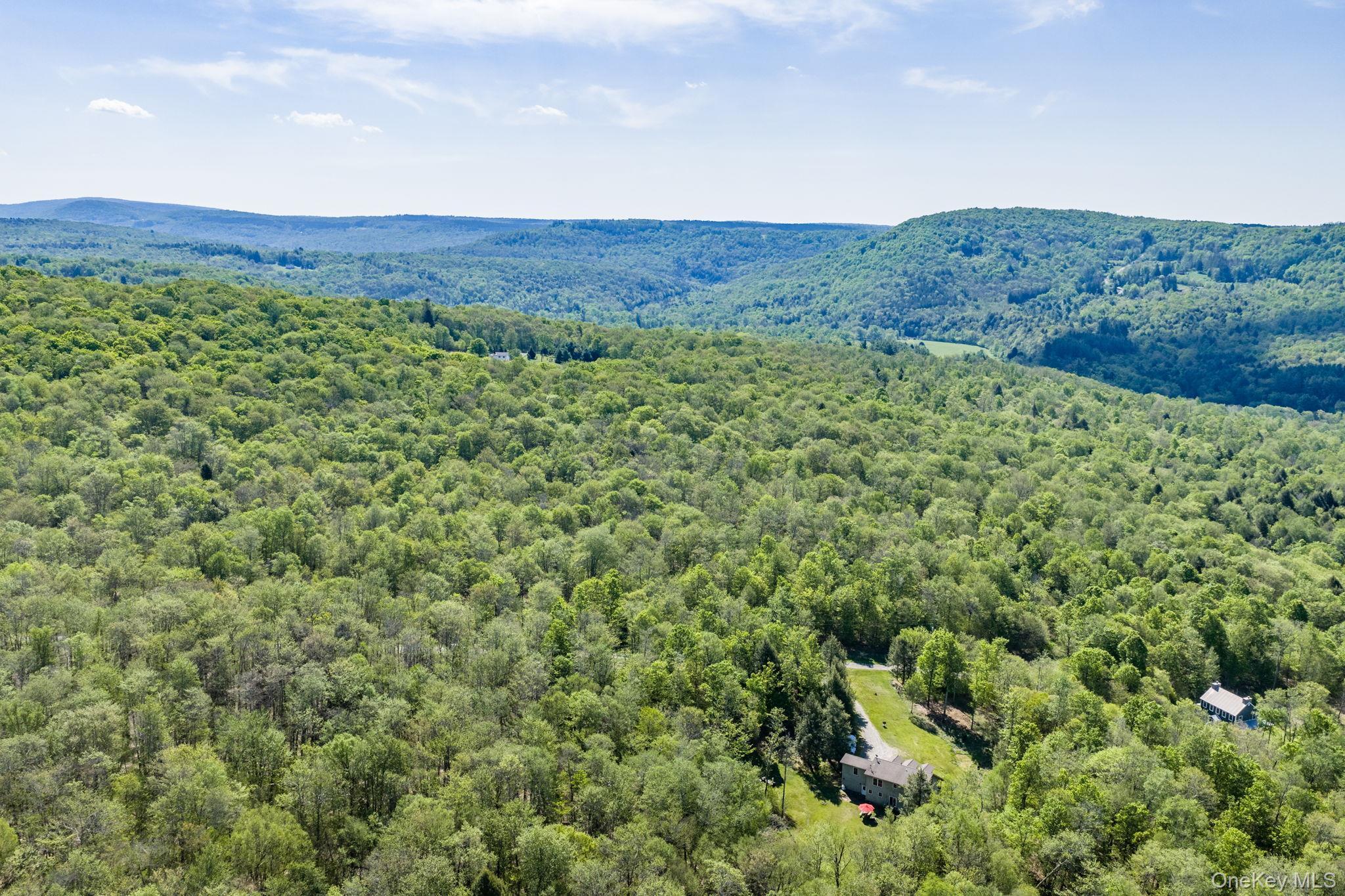 Single Family Turkey Hollow Lane  Sullivan County, NY 12758, MLS-1002065-44