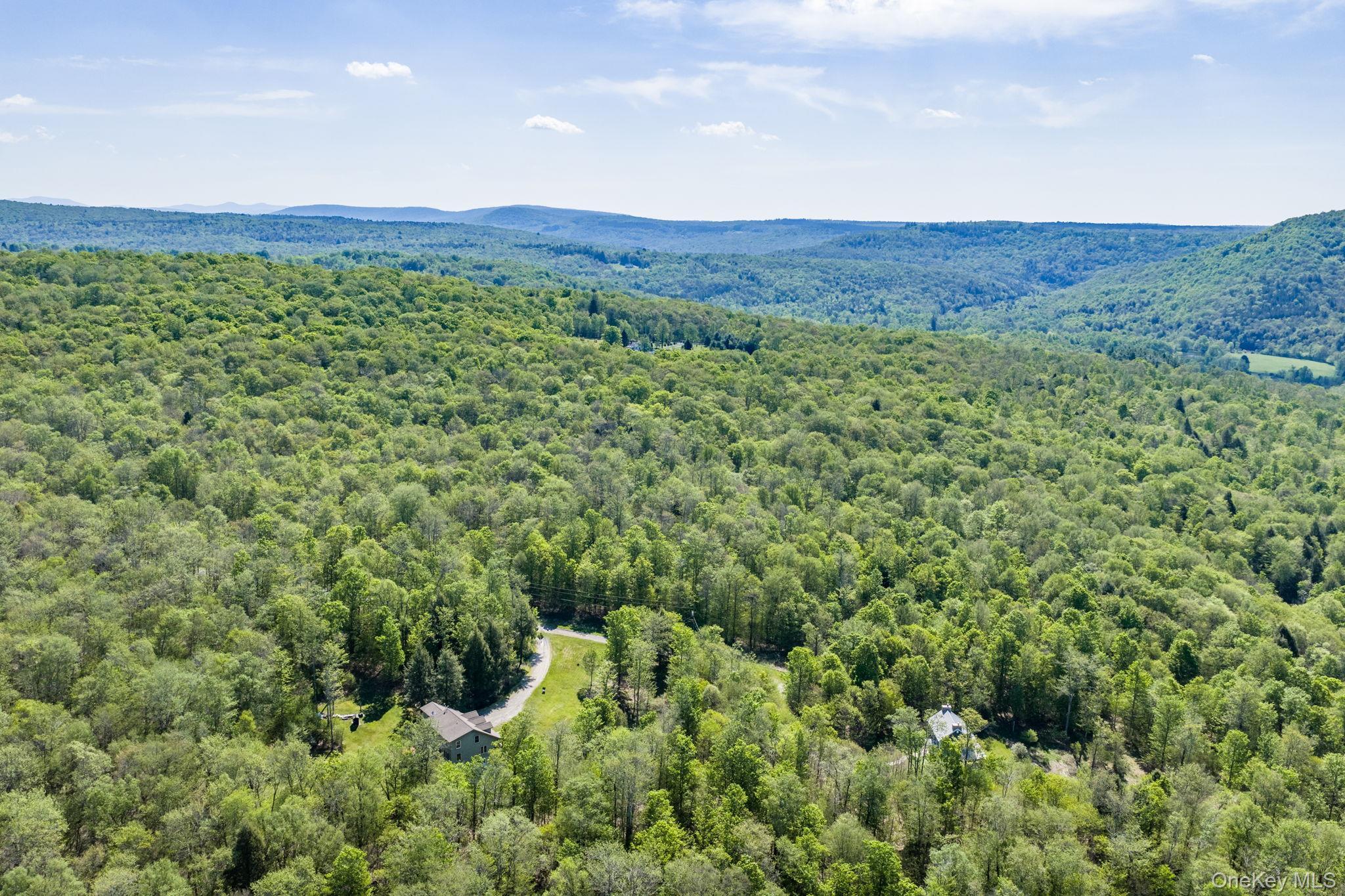 Single Family Turkey Hollow Lane  Sullivan County, NY 12758, MLS-1002065-45
