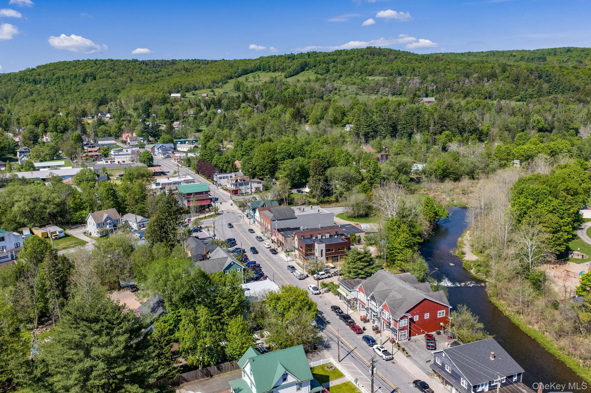 Single Family Turkey Hollow Lane  Sullivan County, NY 12758, MLS-1002065-5