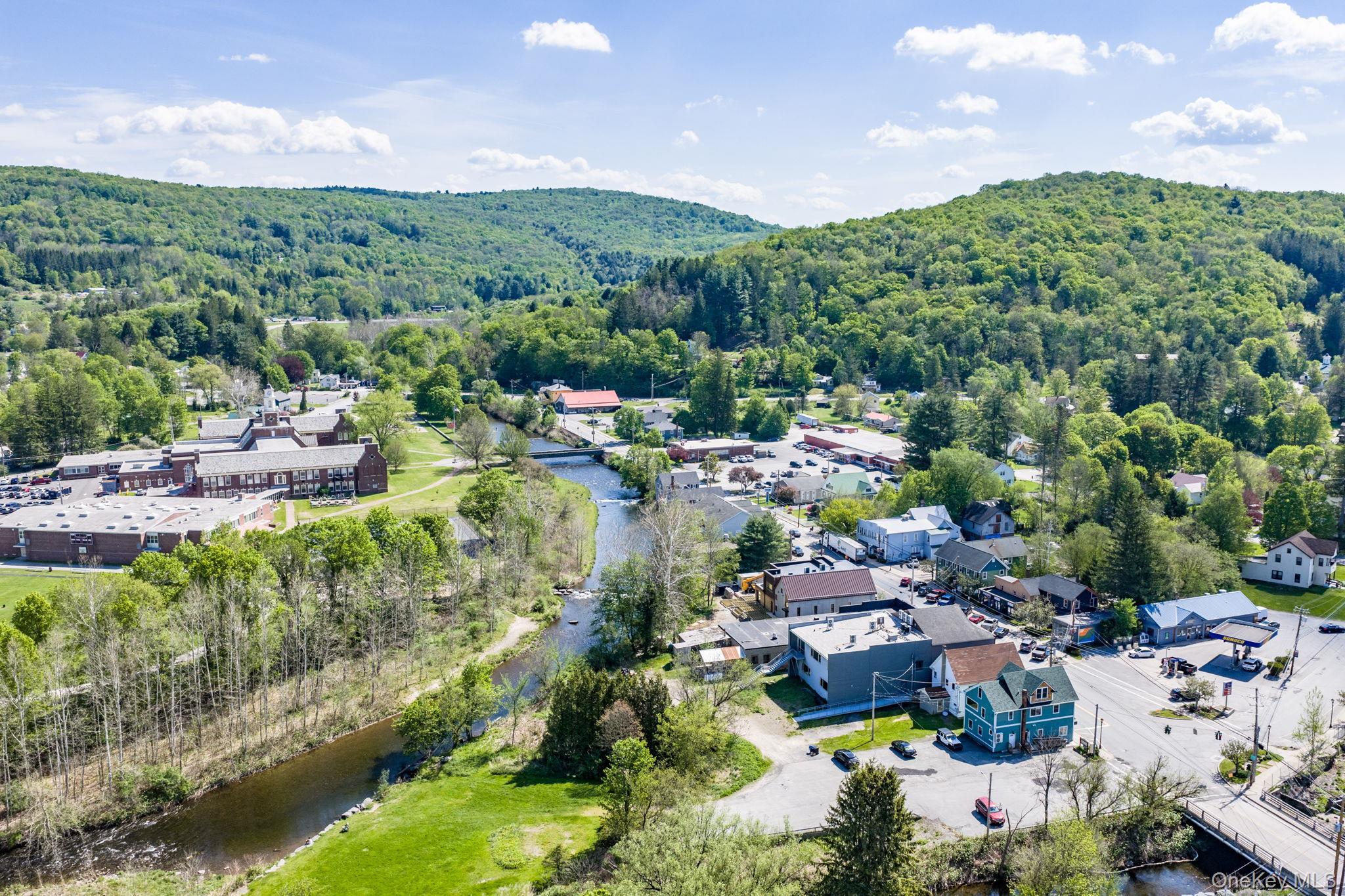 Single Family Turkey Hollow Lane  Sullivan County, NY 12758, MLS-1002065-6