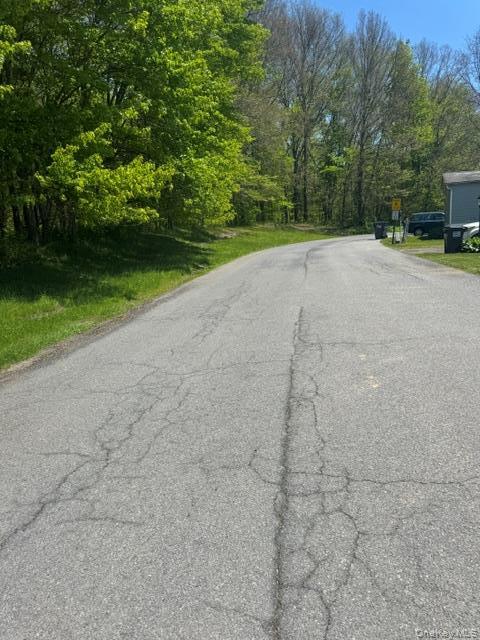 Single Family Riveredge Park Trail  Sullivan County, NY 12722, MLS-1002166-20