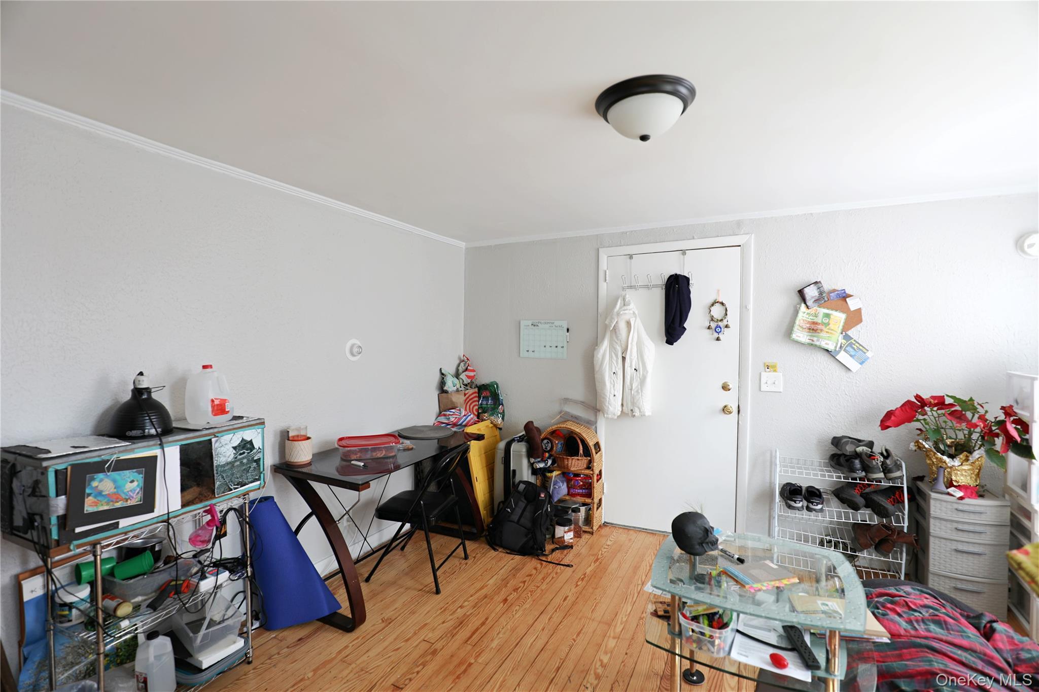 Single Family Washington Avenue  Ulster County, NY 12401, MLS-1002182-16