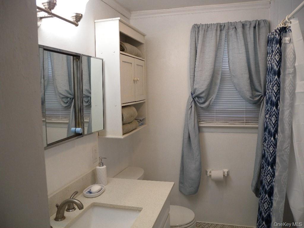 Single Family Washington Heights Street Suffolk County, NY 11784, MLS-1002269-28