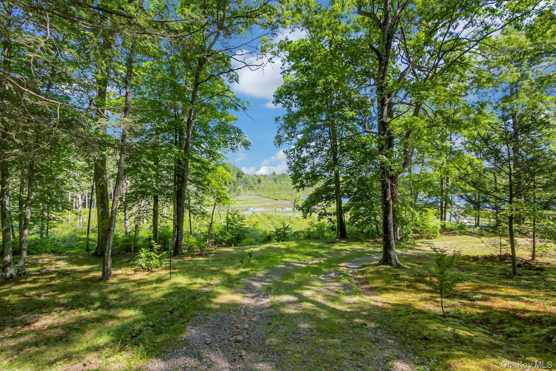 Single Family Woods Dutchess County, NY 12572, MLS-1002328-41