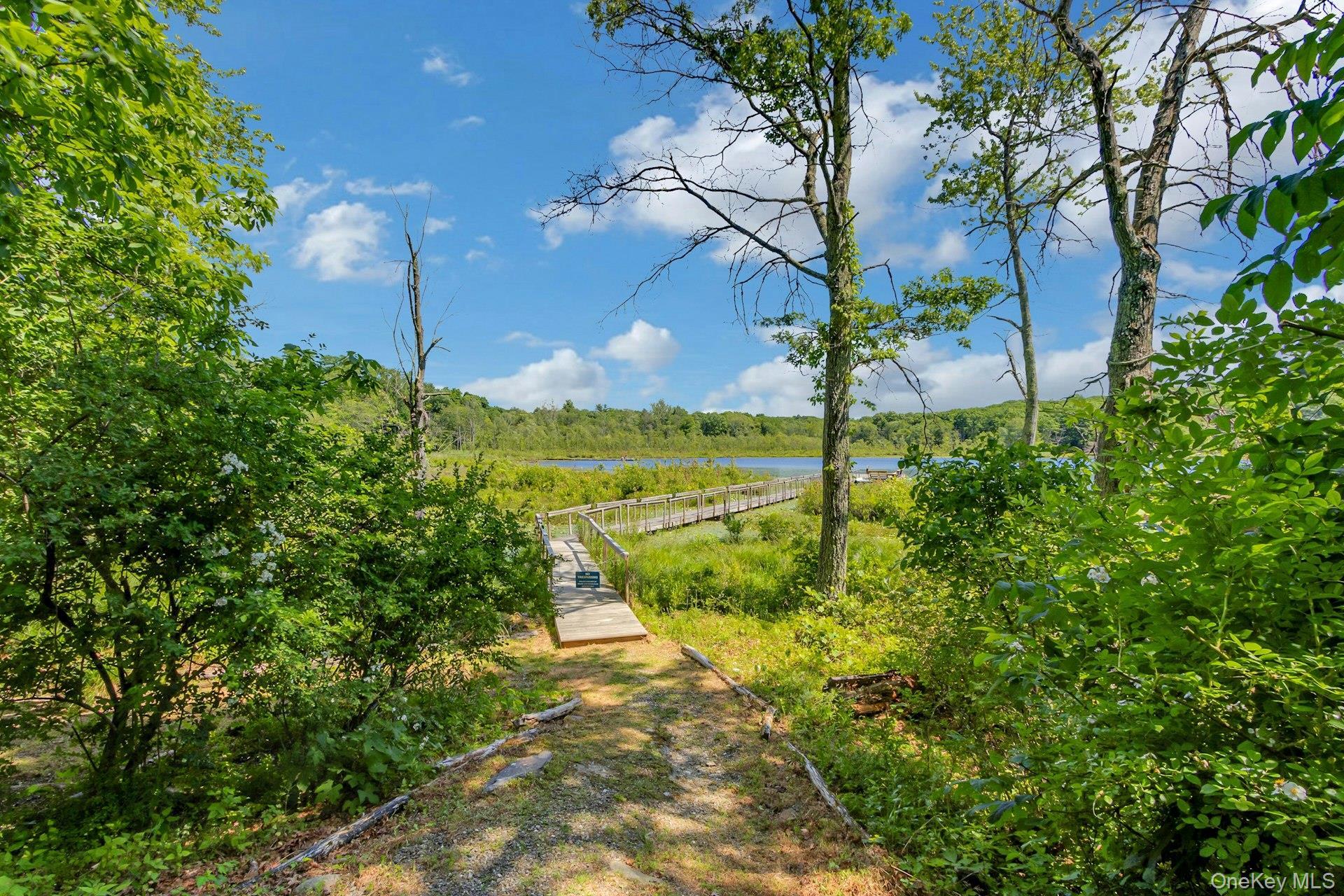 Single Family Woods Dutchess County, NY 12572, MLS-1002328-42