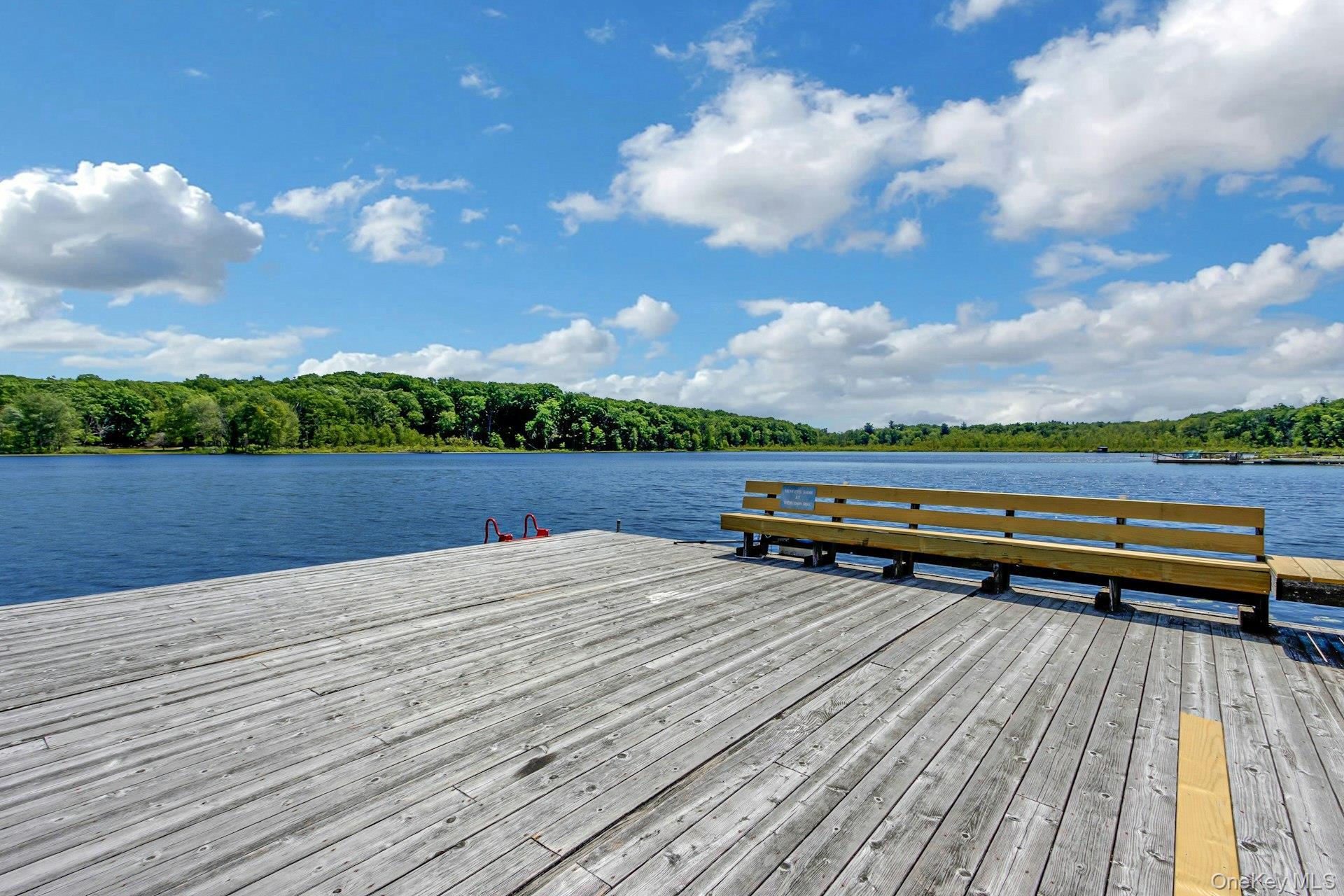 Single Family Woods Dutchess County, NY 12572, MLS-1002328-44