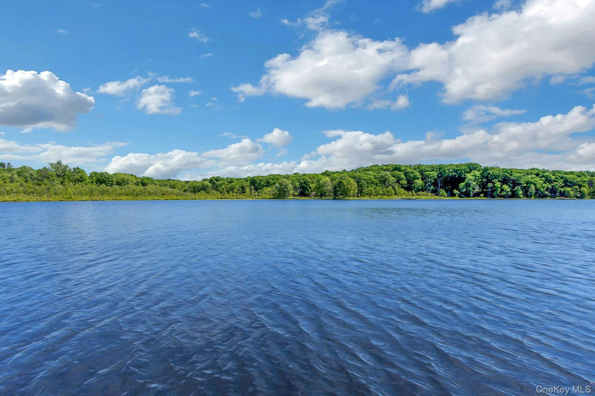 Single Family Woods Dutchess County, NY 12572, MLS-1002328-45
