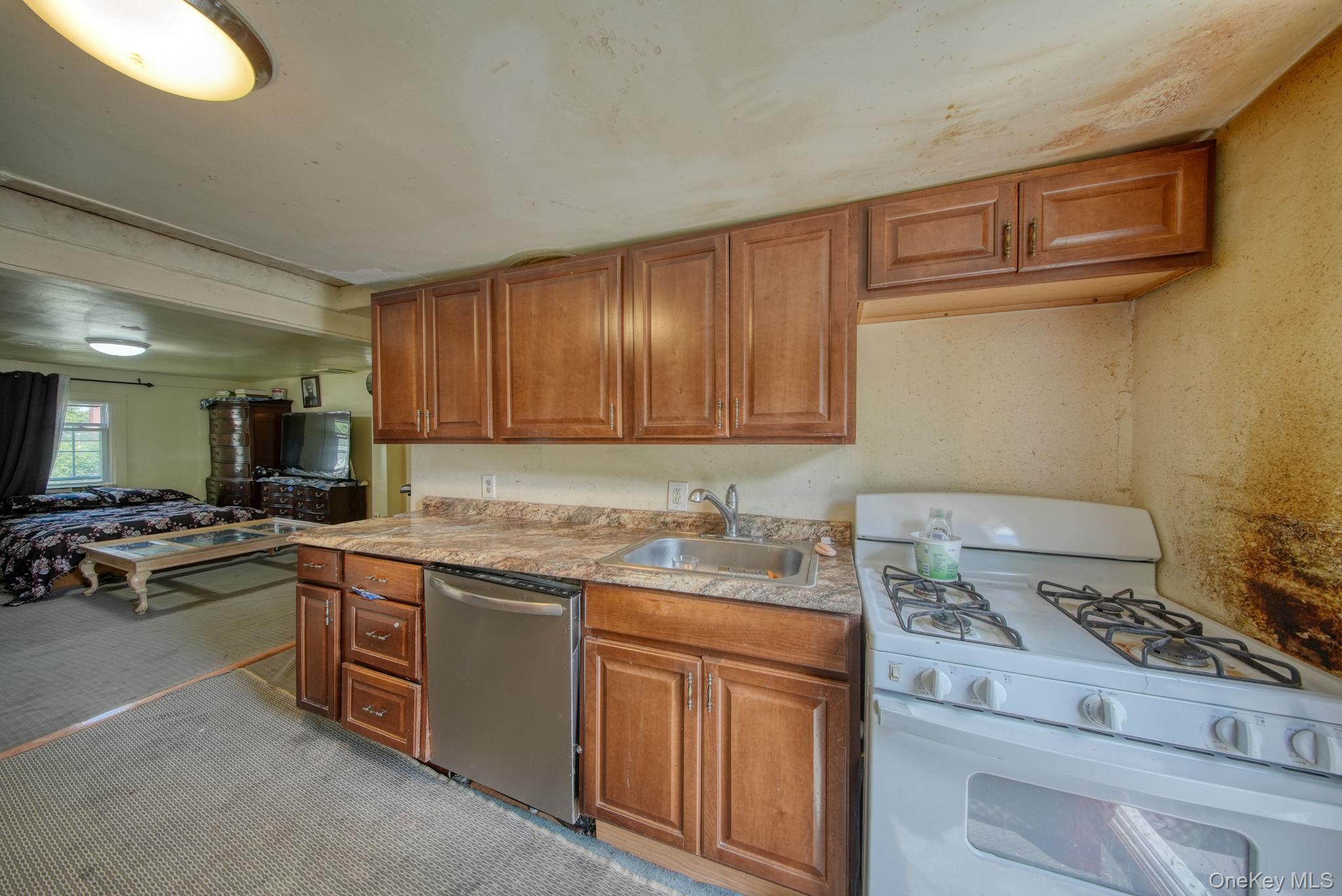 Single Family Monhagen Avenue Orange County, NY 10940, MLS-1002381-13