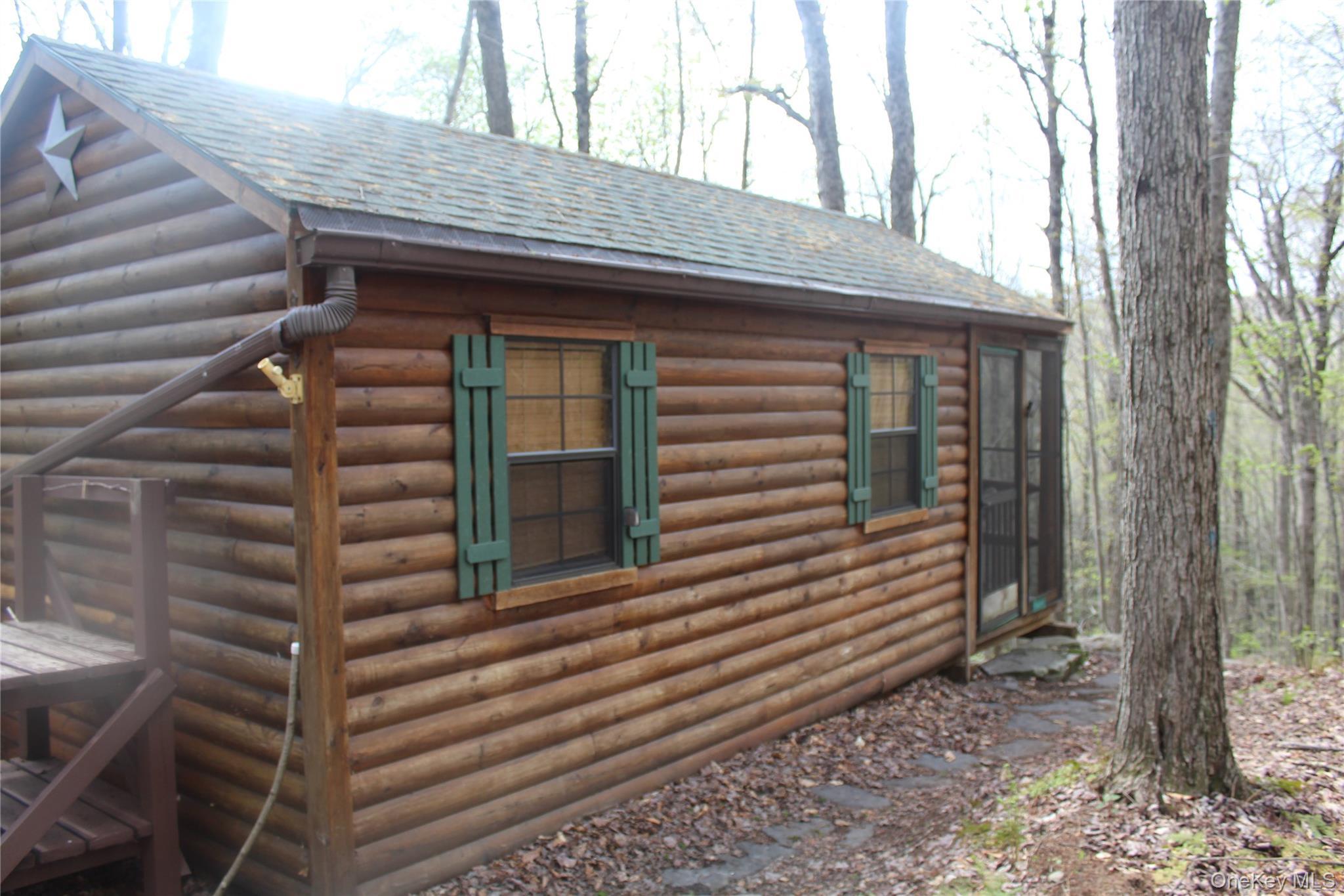 Single Family Peterson  Delaware County, NY 12776, MLS-1002384-2