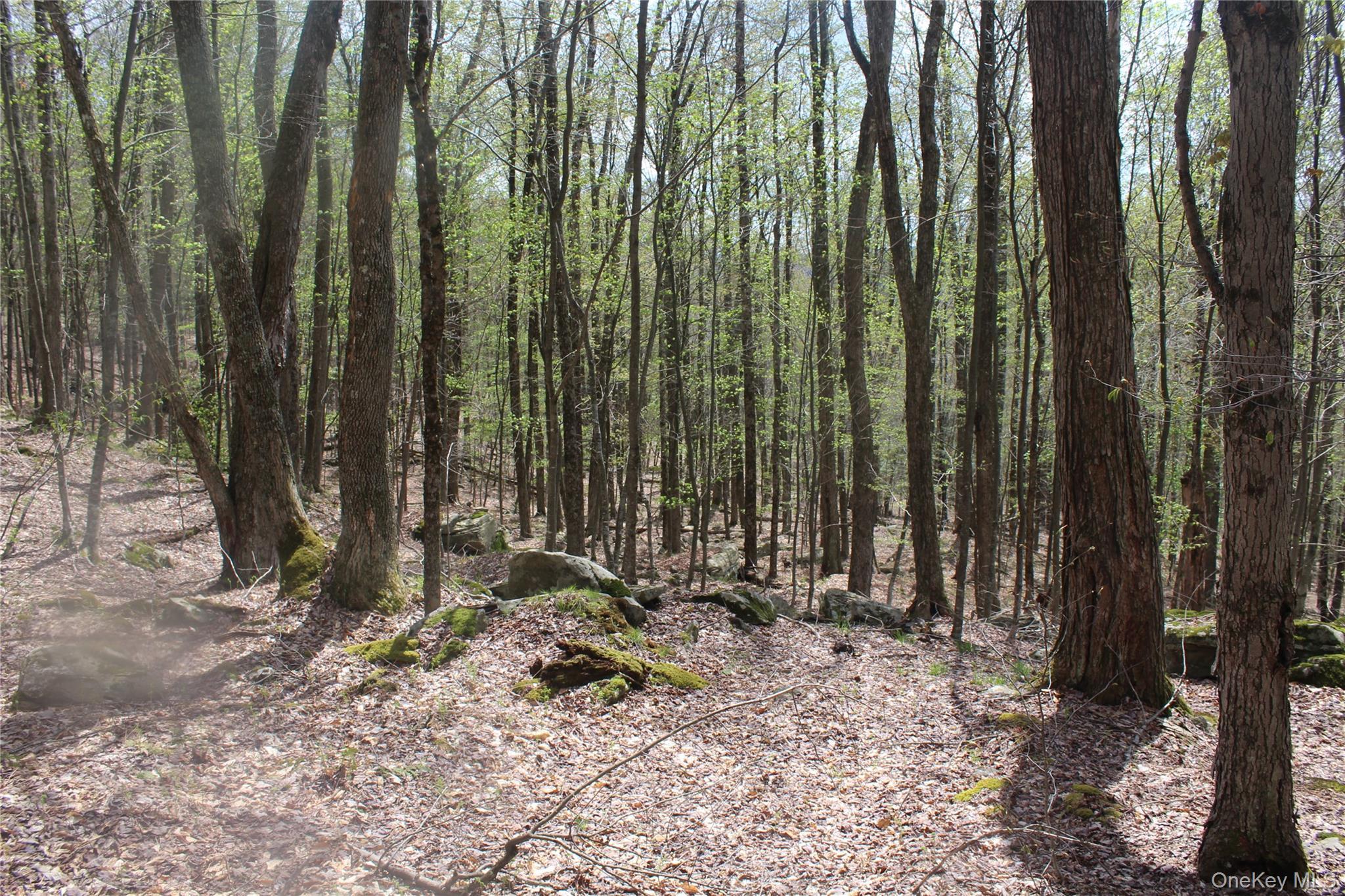 Single Family Peterson  Delaware County, NY 12776, MLS-1002384-20
